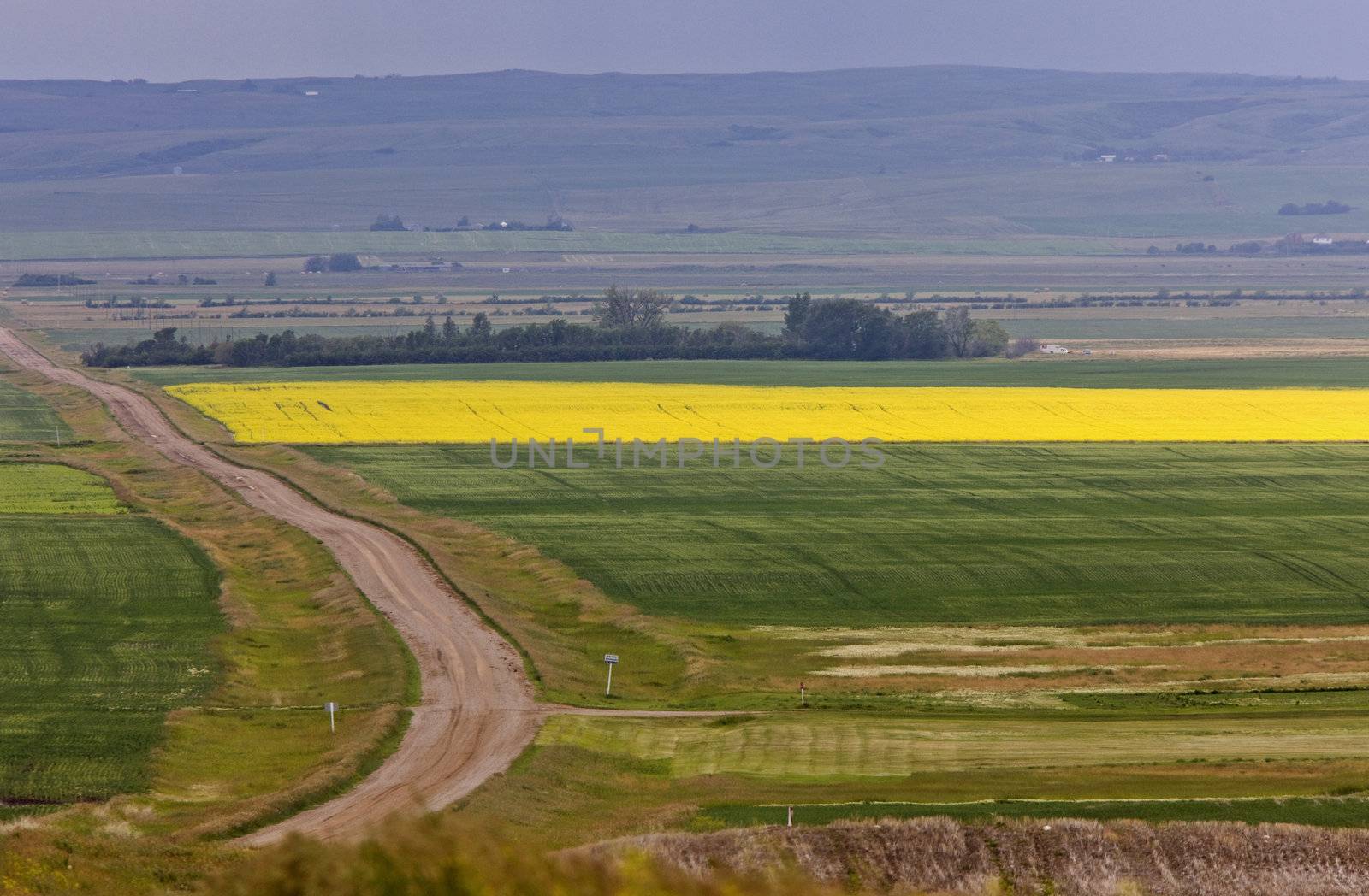 Country road and farmlands by pictureguy