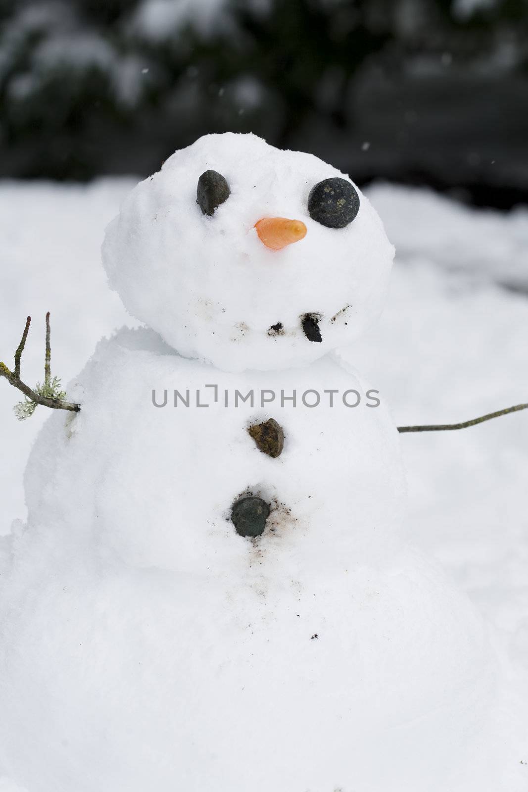 Happy little snowman by jarenwicklund