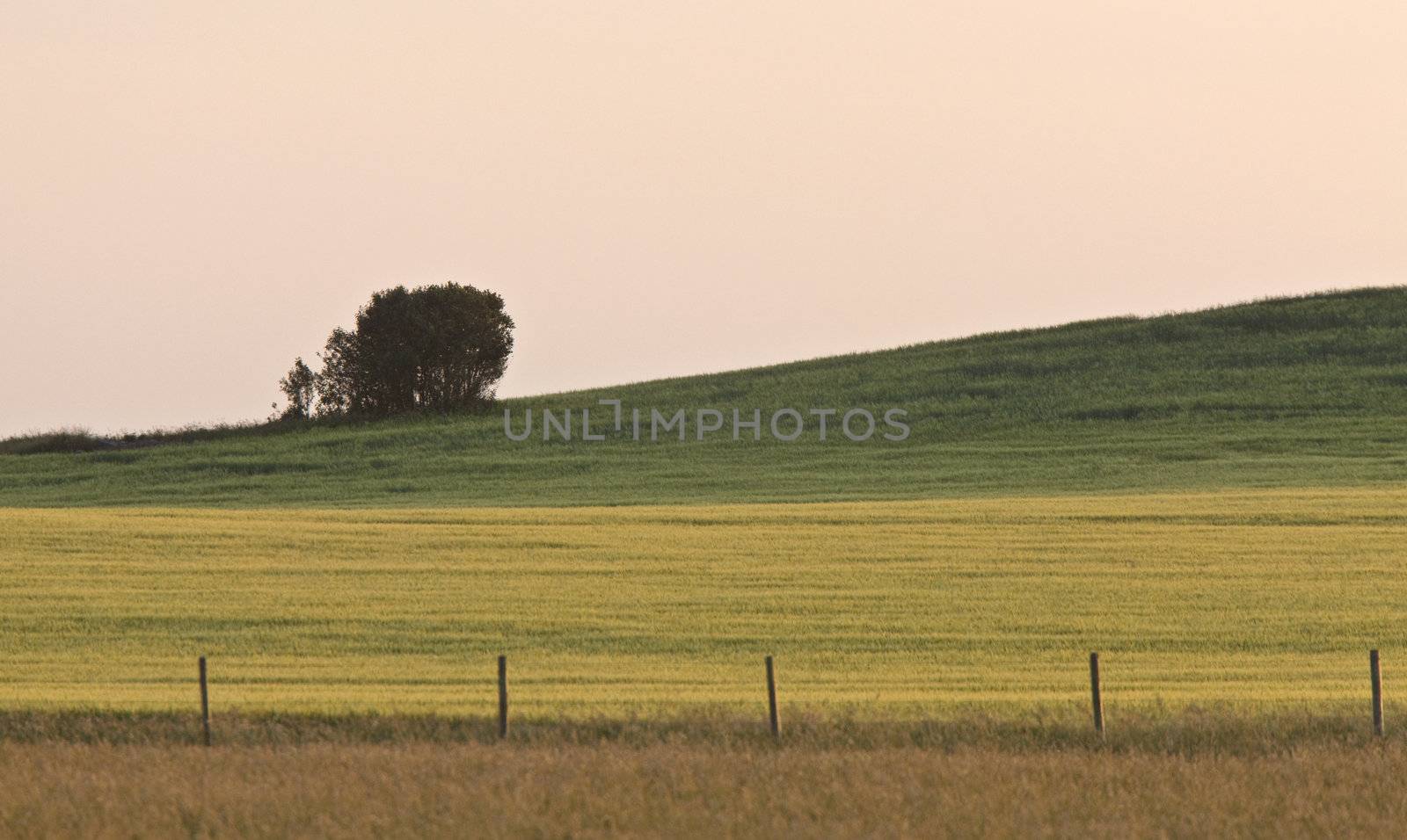 Saskatchewan country scene