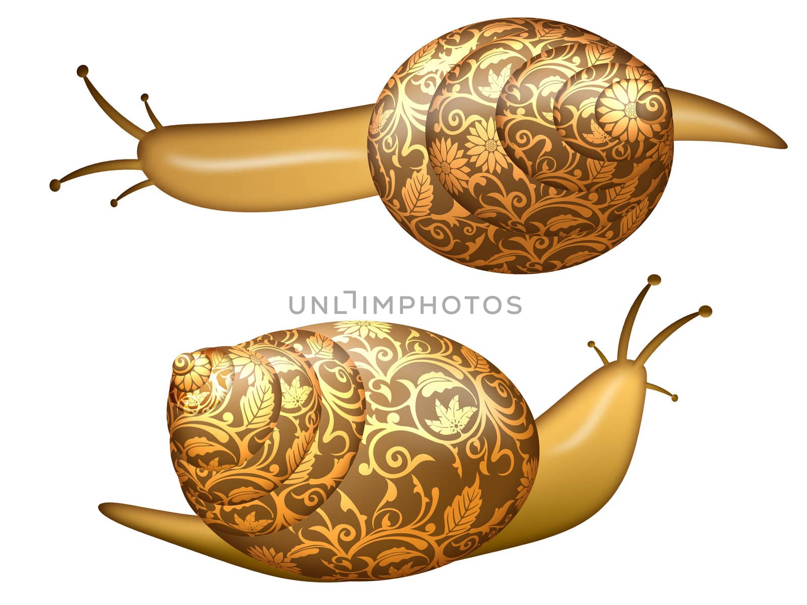 Garden Floral Snail Isolated on White Background Illustration