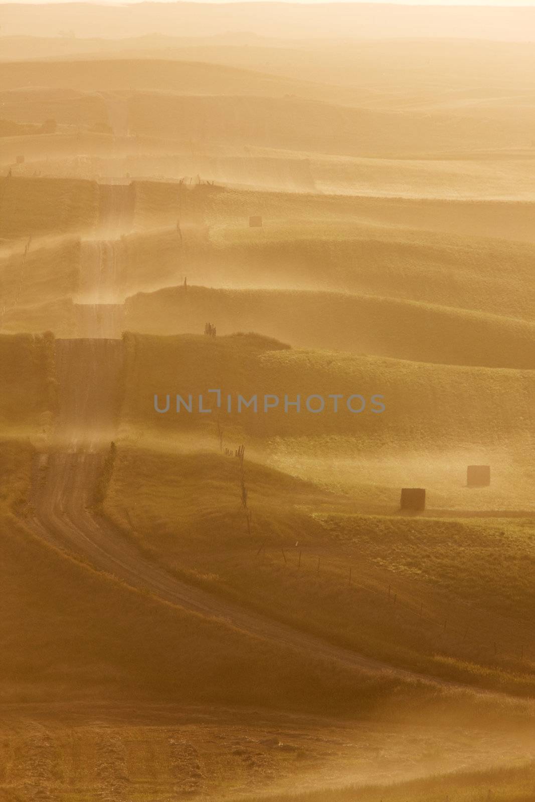 Ground mist along road and fields by pictureguy