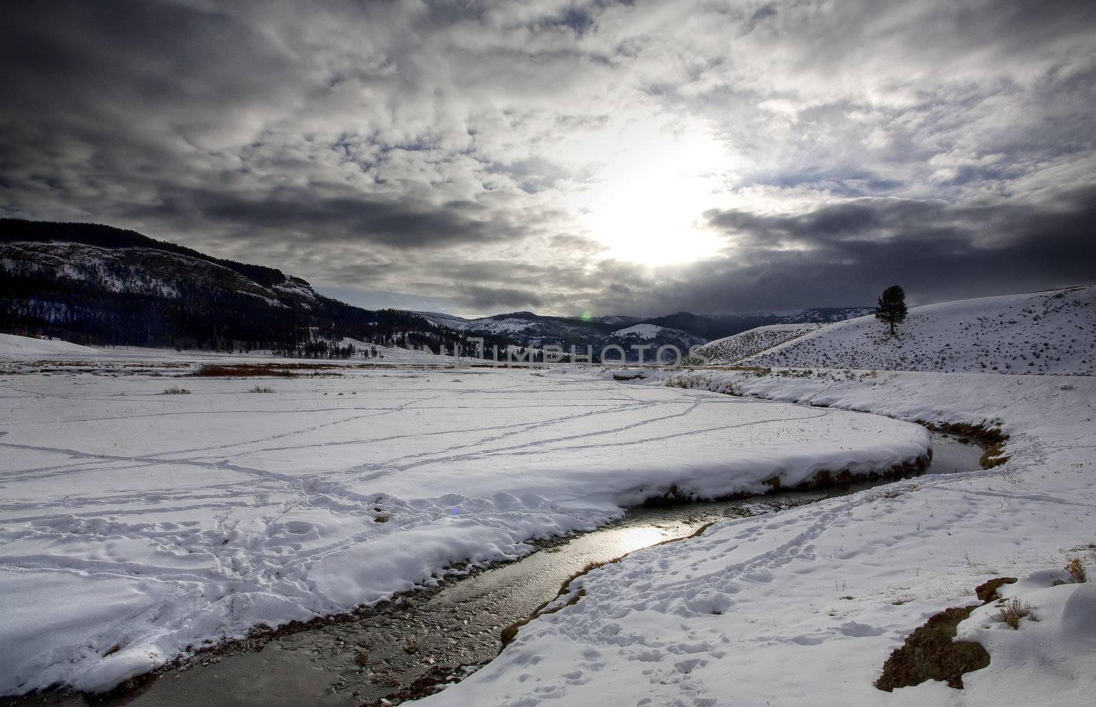 Yellowstone Park Wyoming Winter Snow soda butte creek by pictureguy