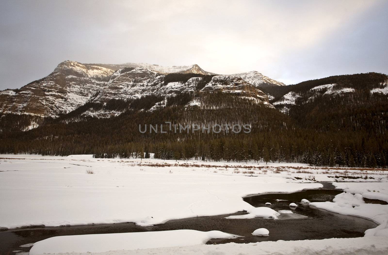 Yellowstone Park Wyoming Winter Snow soda butte creek