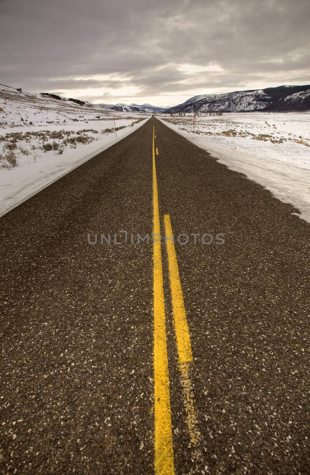 Yellowstone Park Wyoming Winter Snow by pictureguy