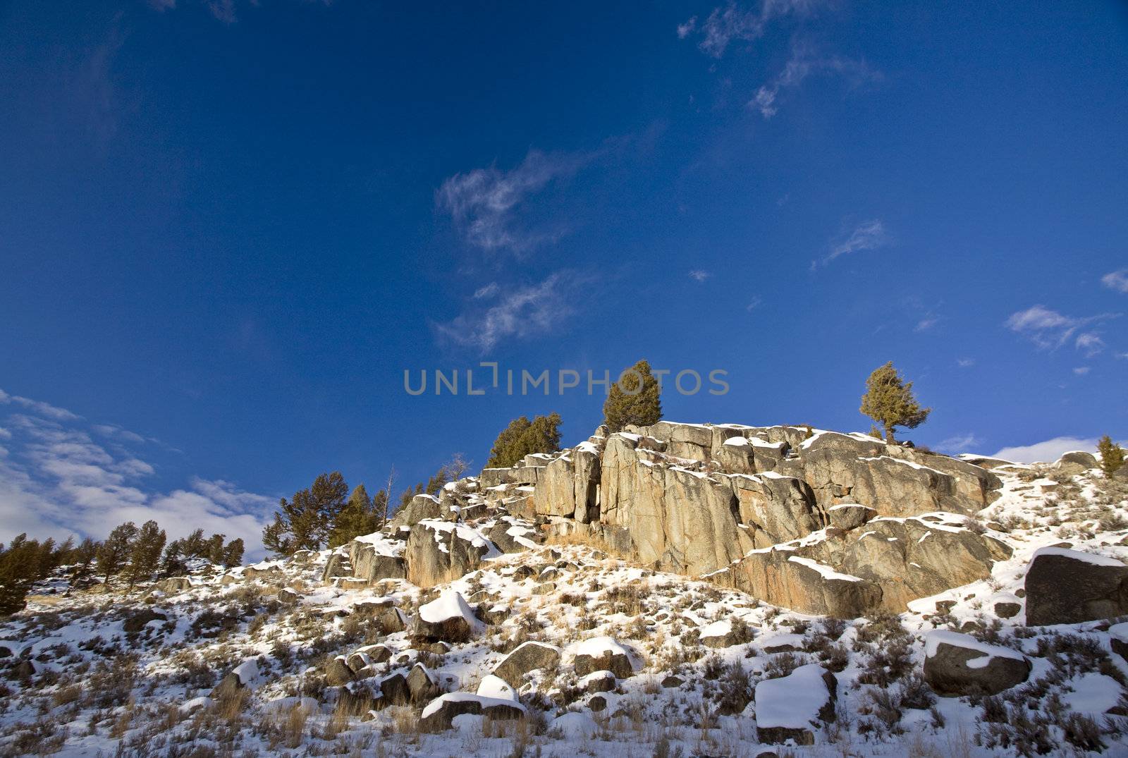 Yellowstone Park Wyoming Winter Snow