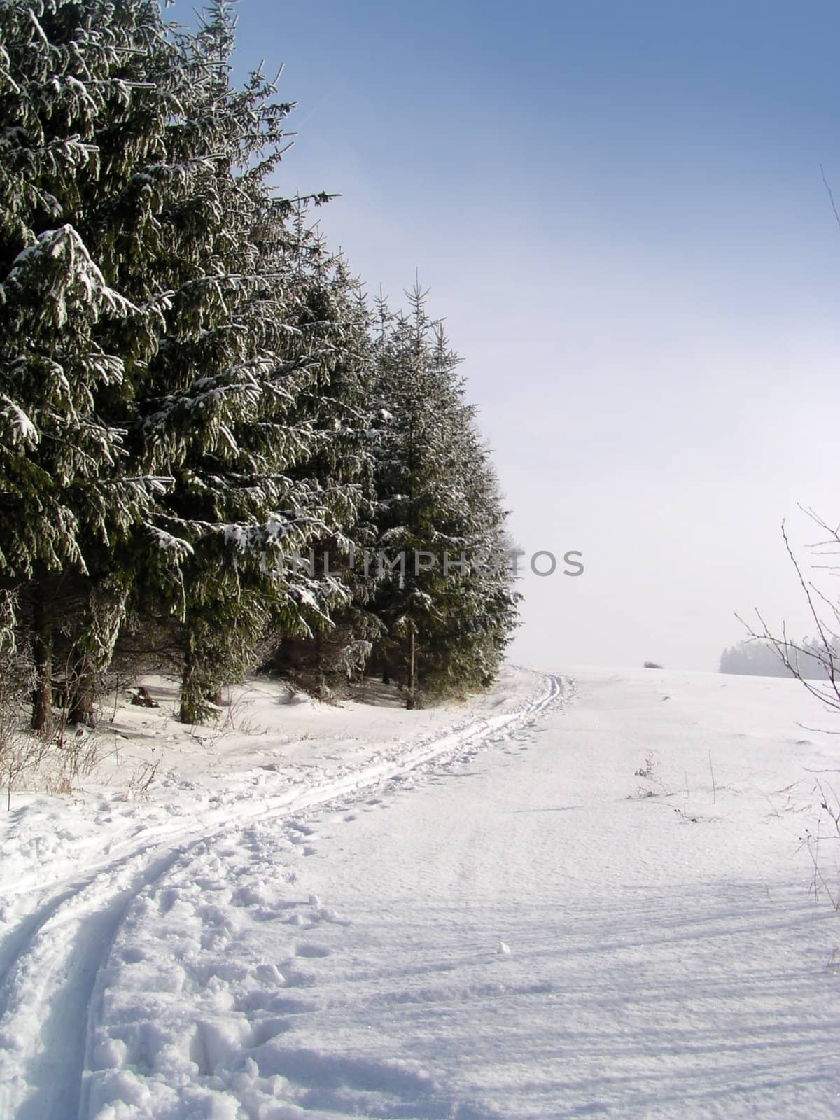 Winter cross country ski trail