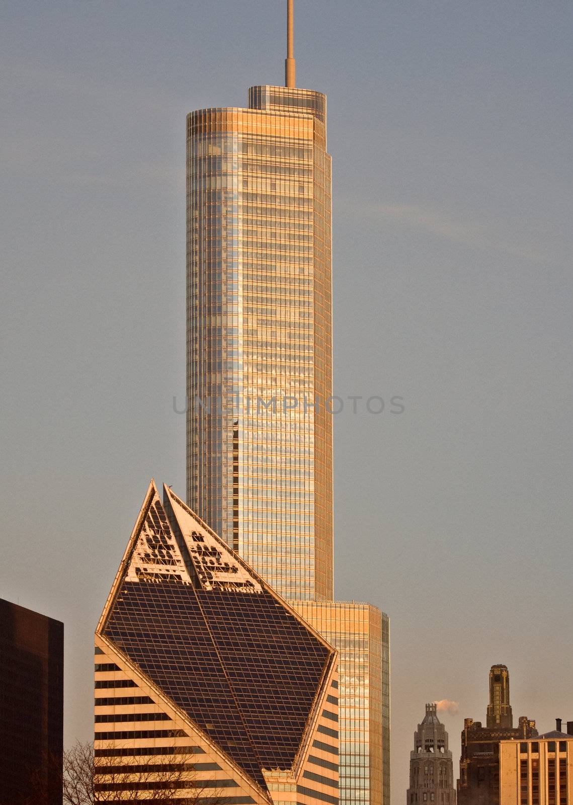 Chicago Downtown City  by pictureguy