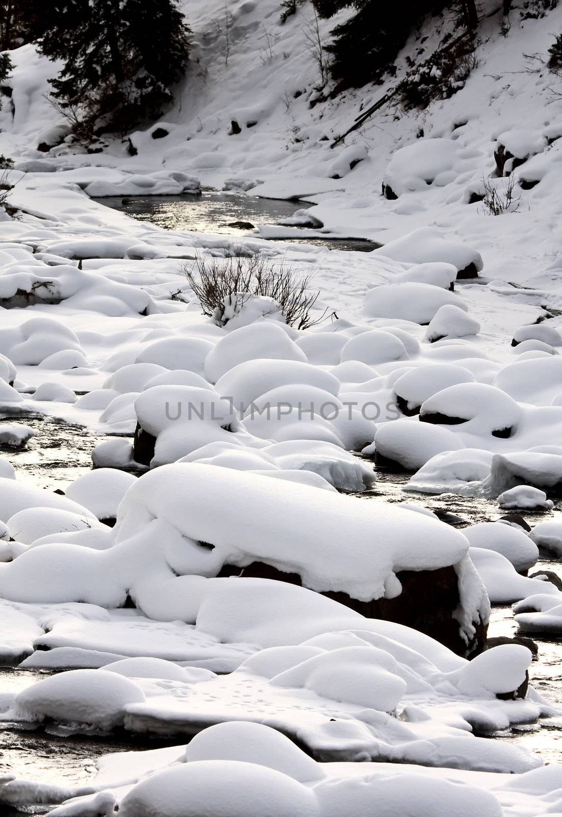 Yellowstone Park Wyoming Winter Snow soda butte creek by pictureguy