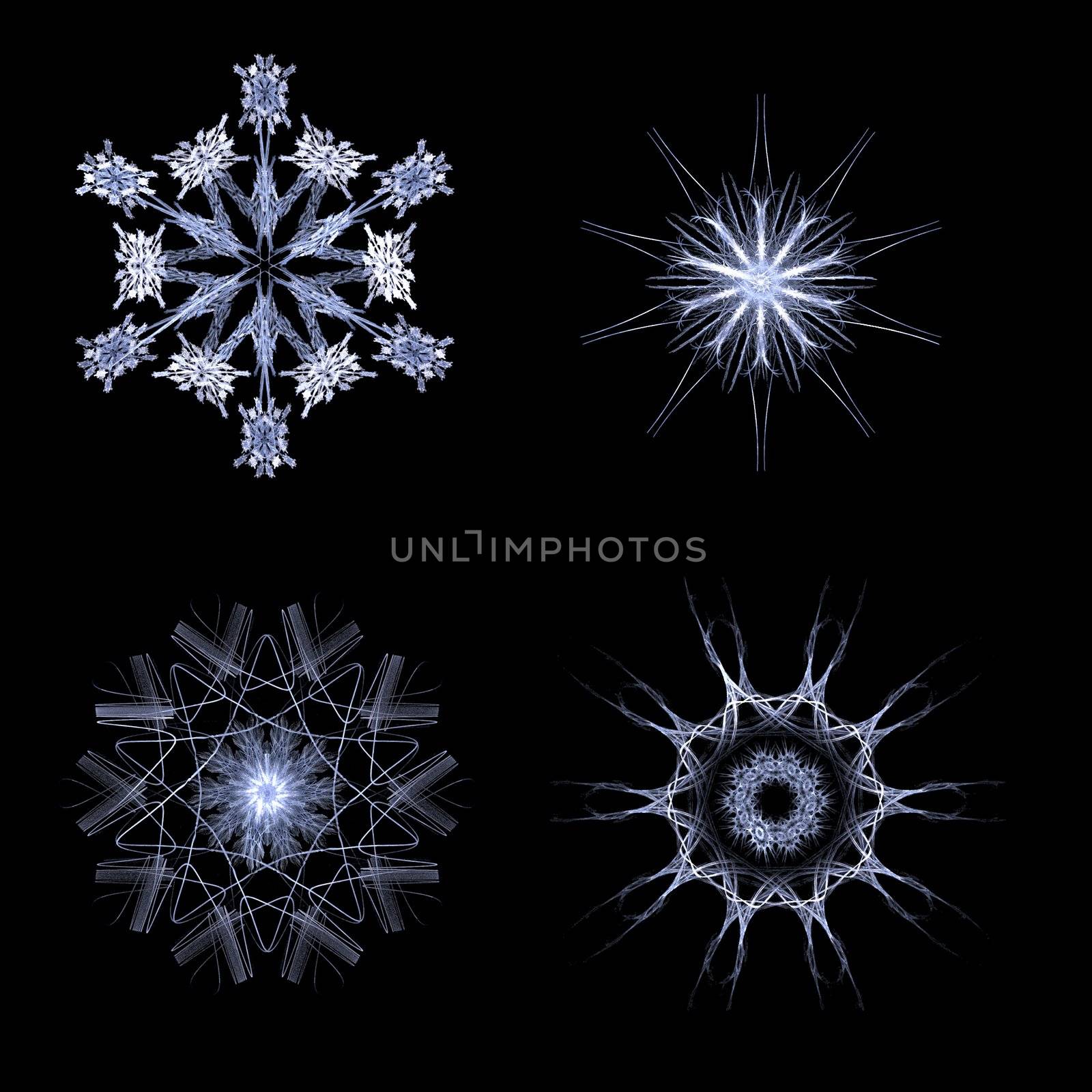 Fractal snow flakes on black background