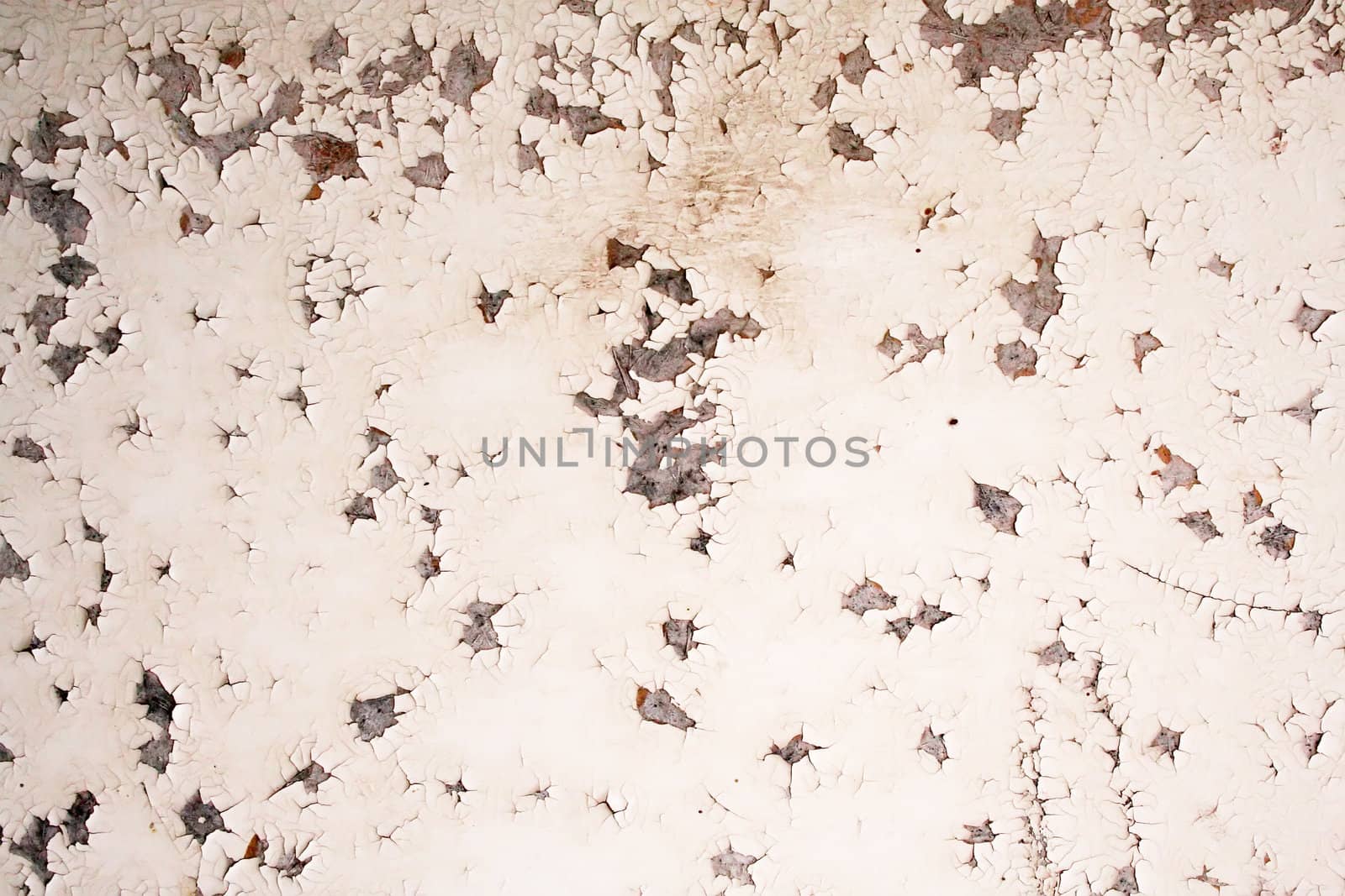 Real grunge background - old cracked surface
