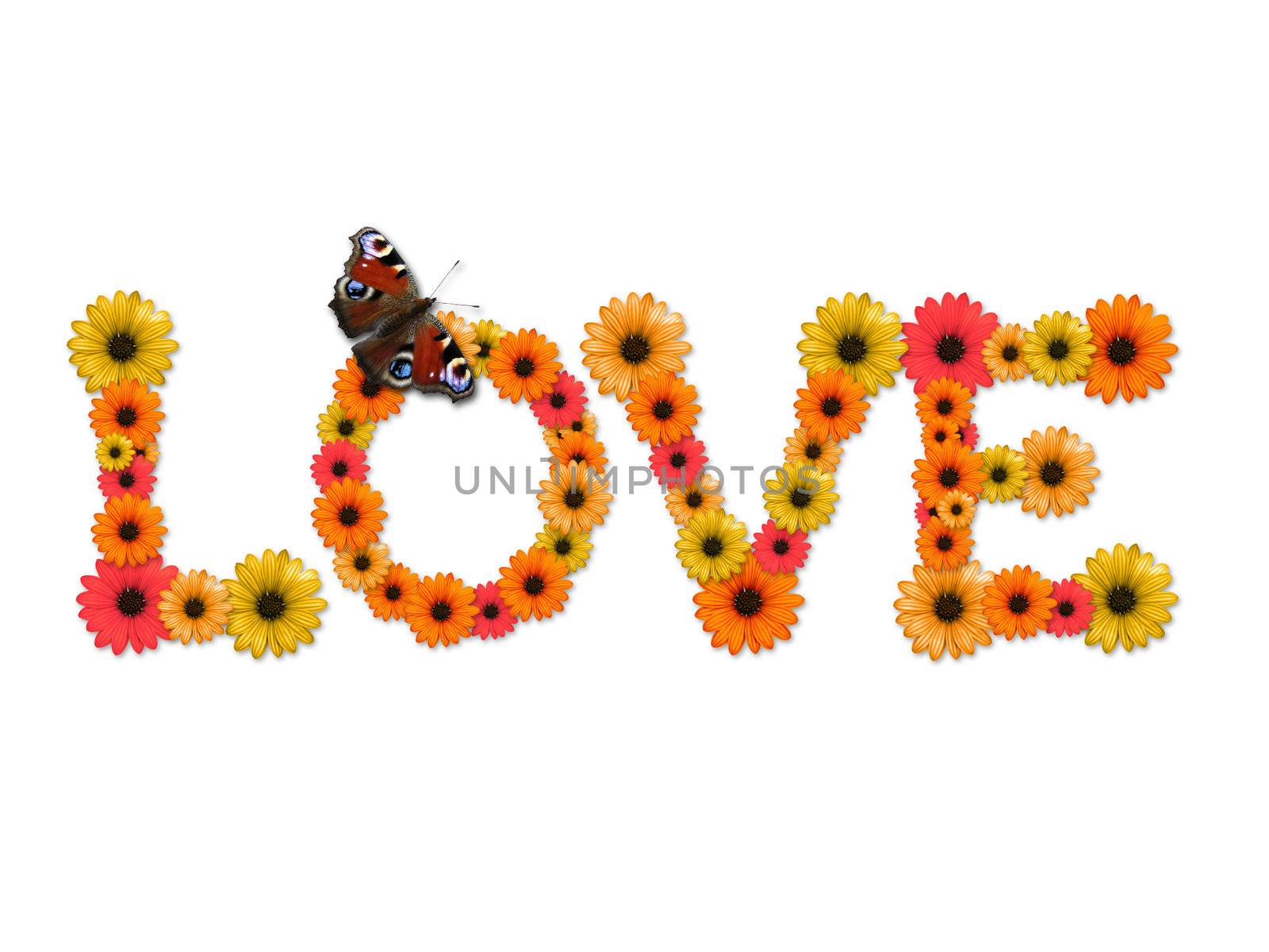 Word Love made from flowers on white background