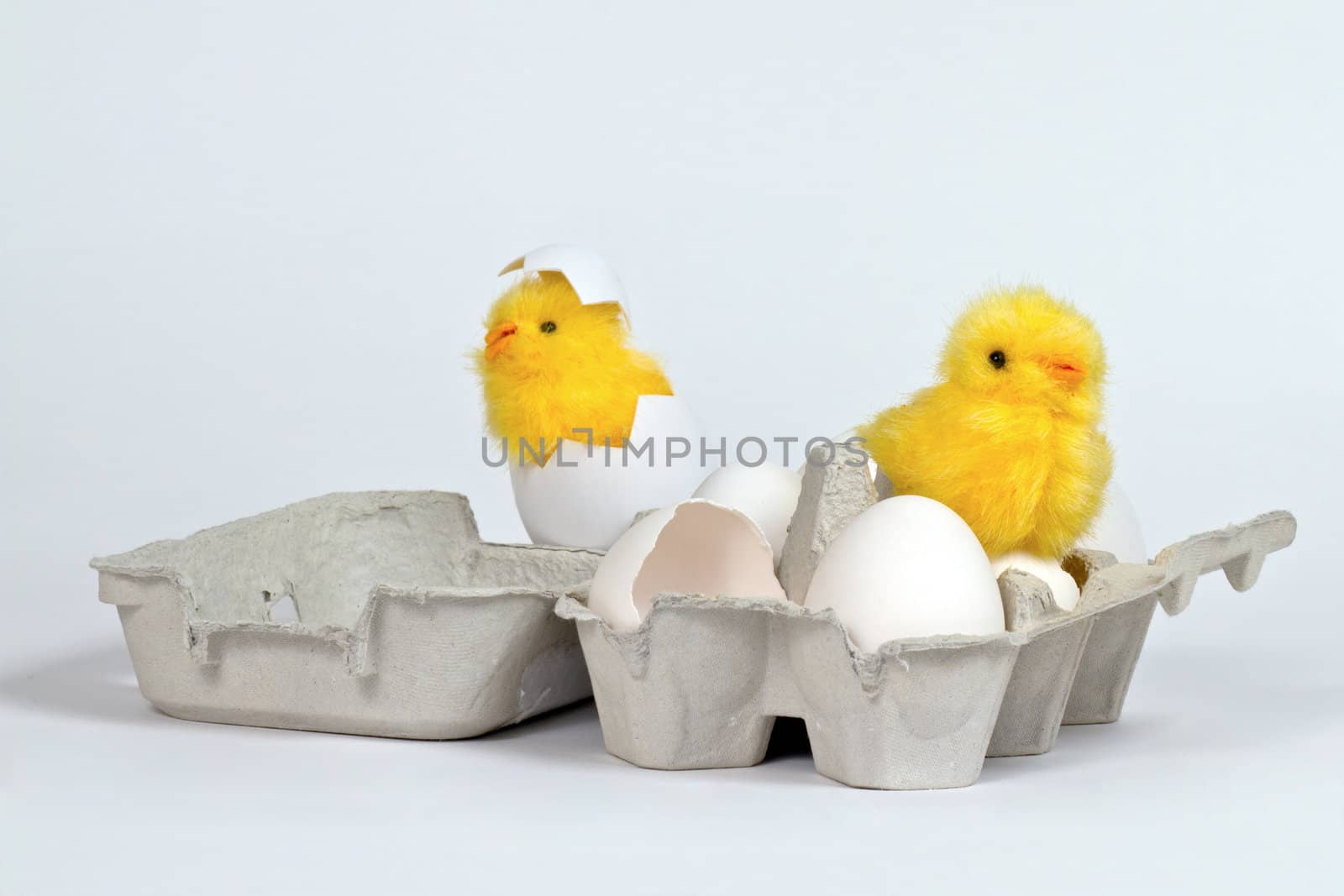 Newly hatched toy chicks in eggbox with white eggs. Hi-key
