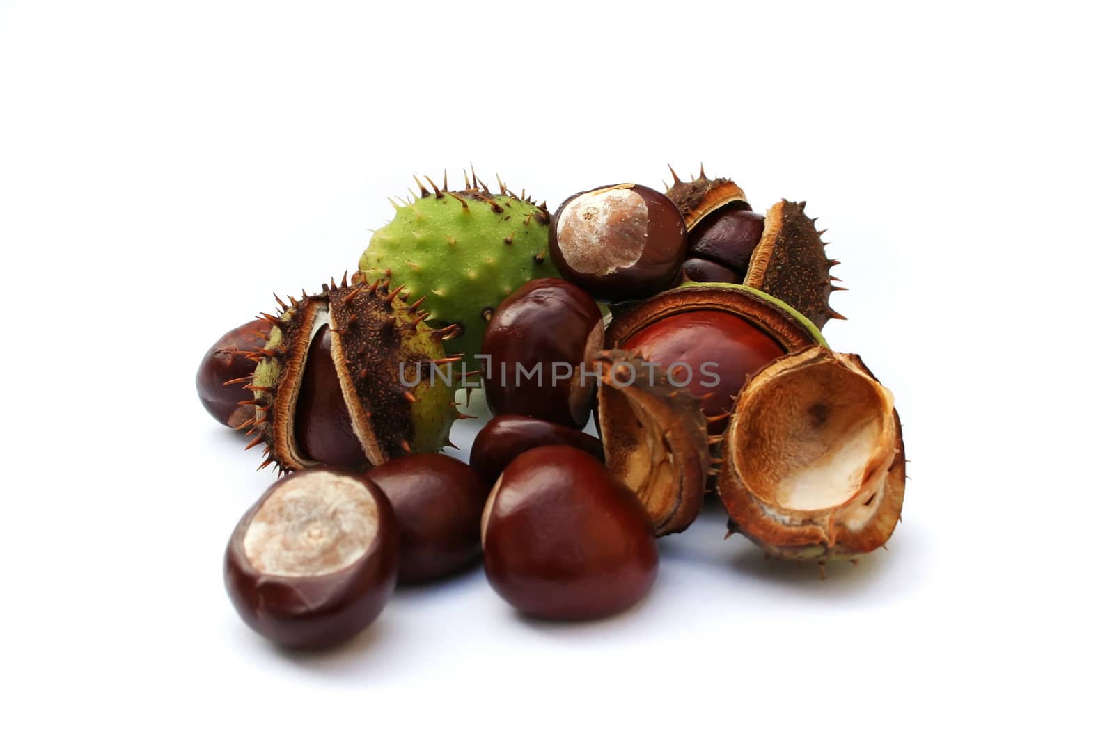 Autumn chestnuts on white background