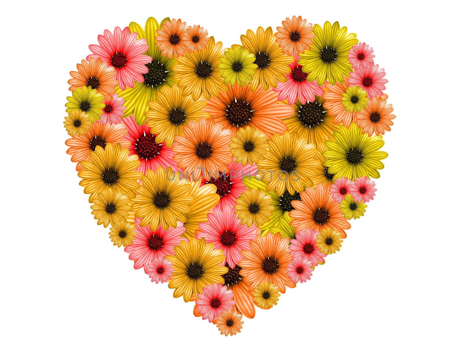 Heart made of colorful flowers