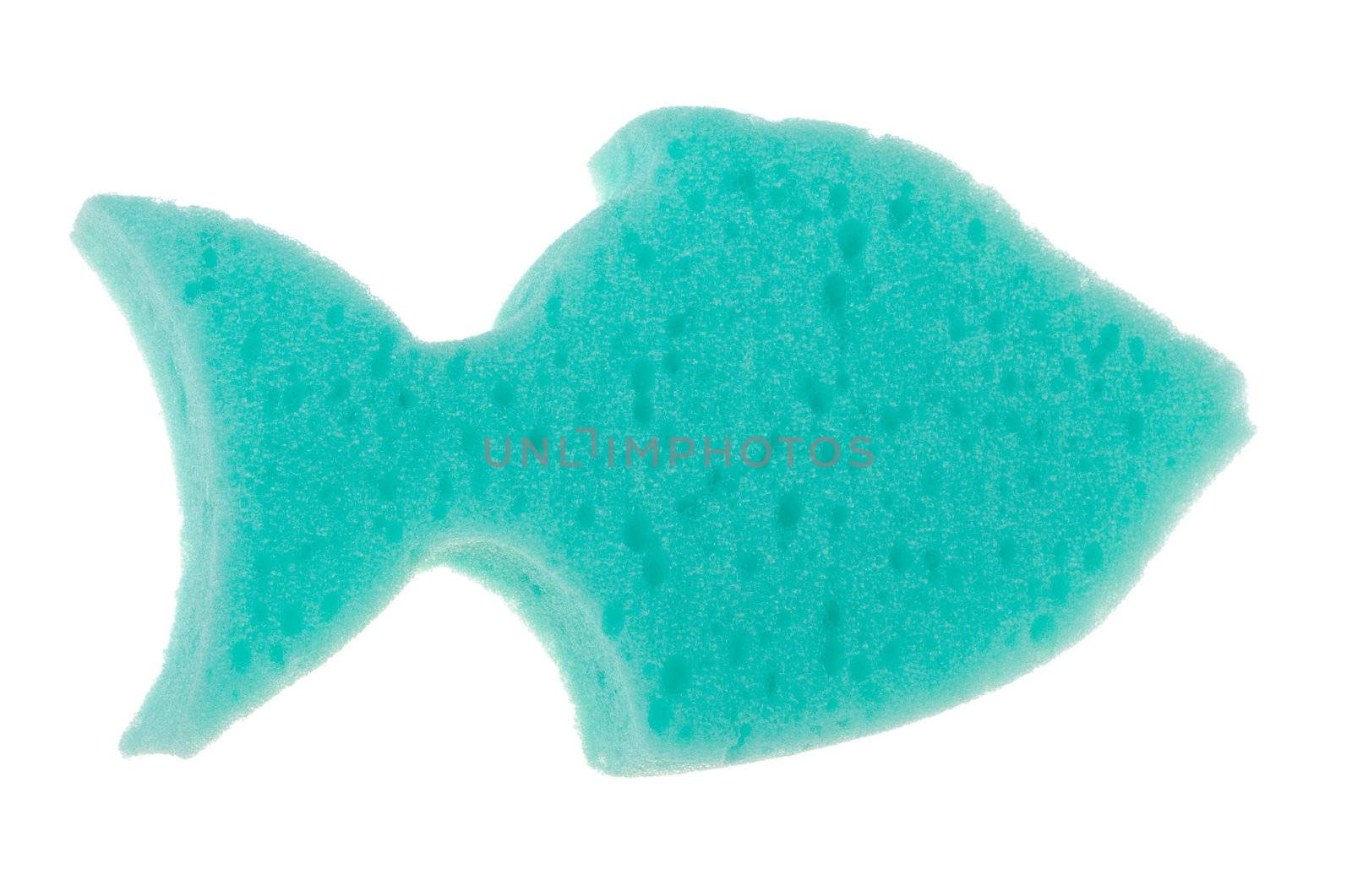 close-up bath sponge as fish, isolated on white