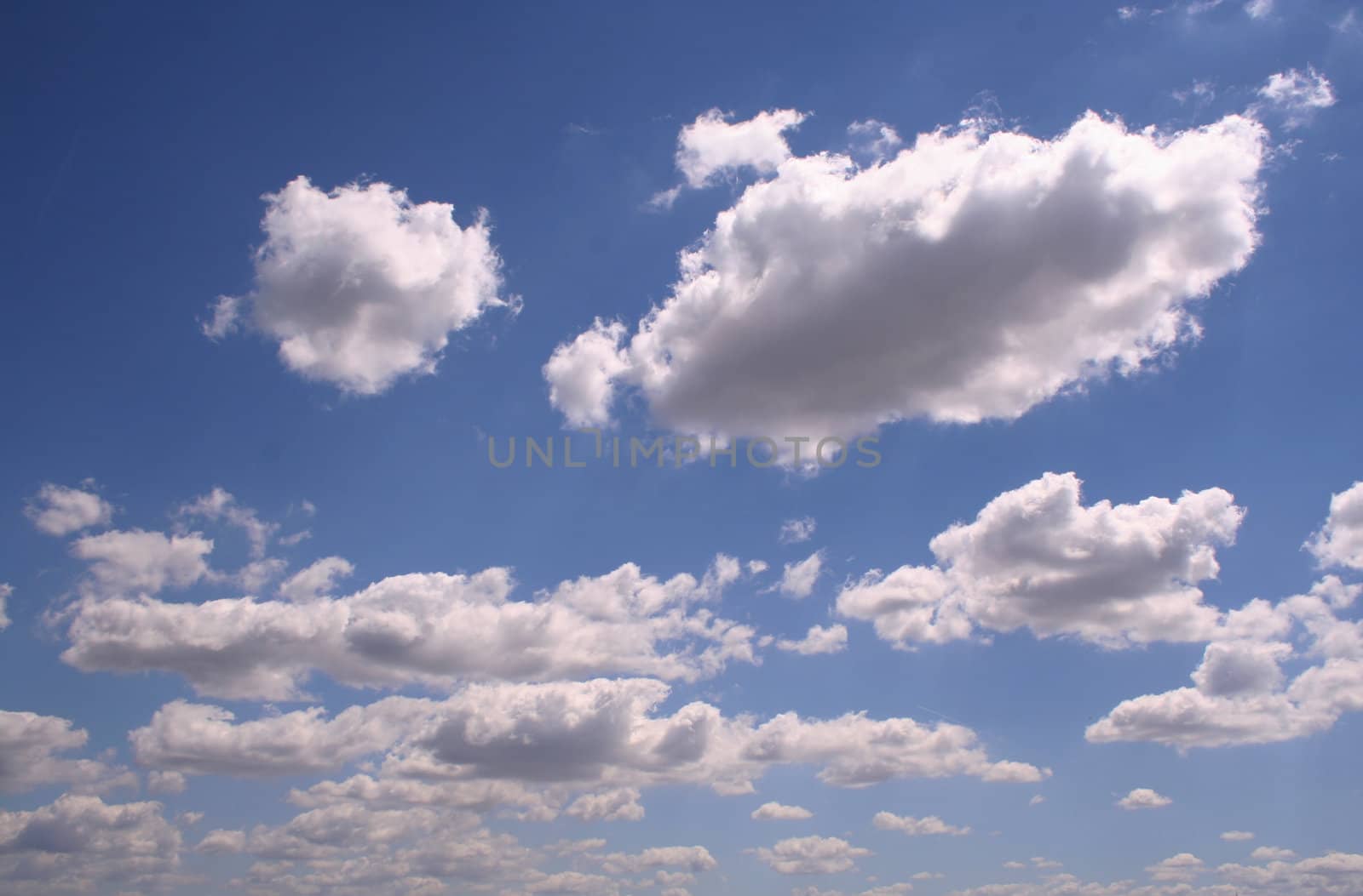 White clouds on the blue sky