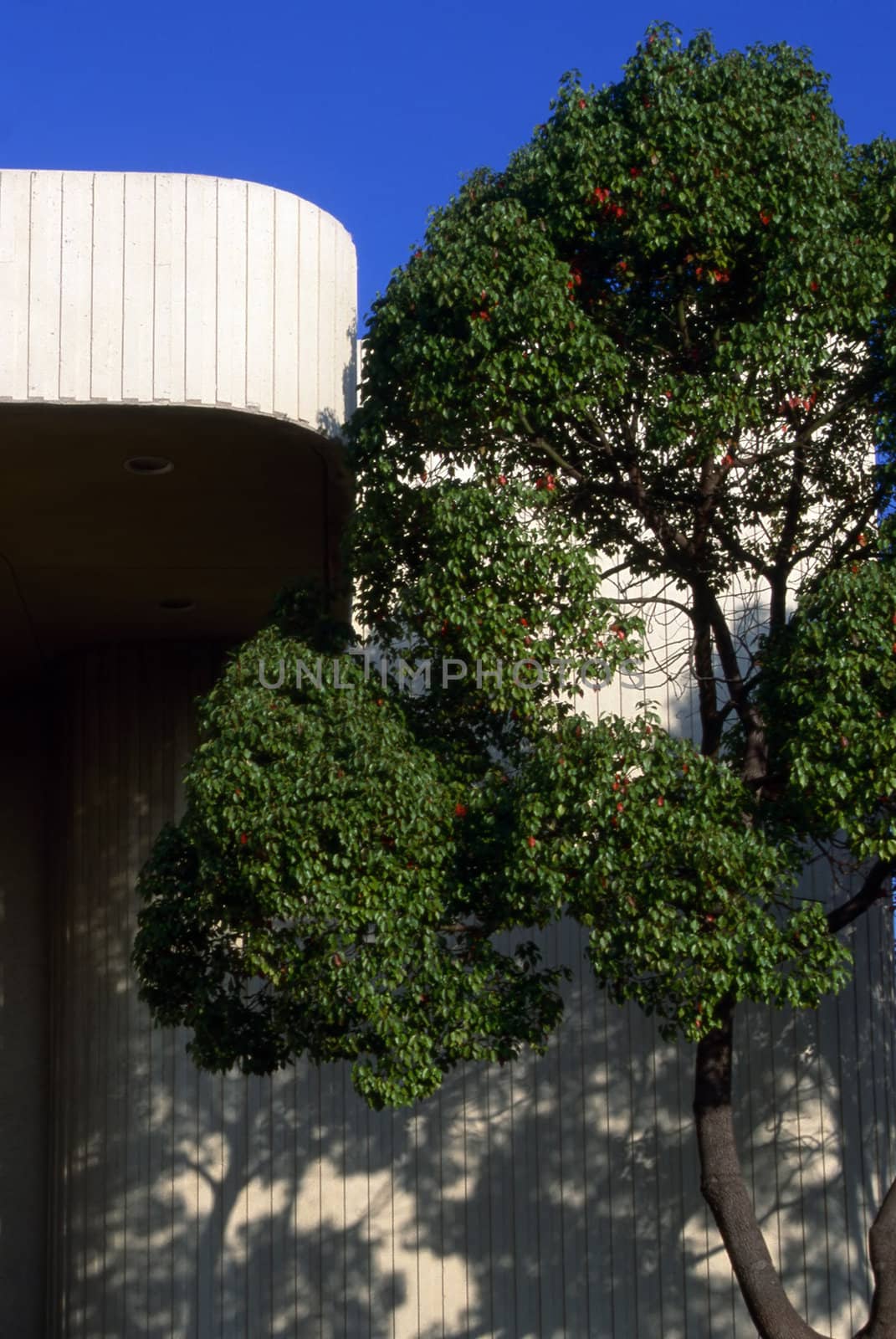 Detail of a building at University Nevada