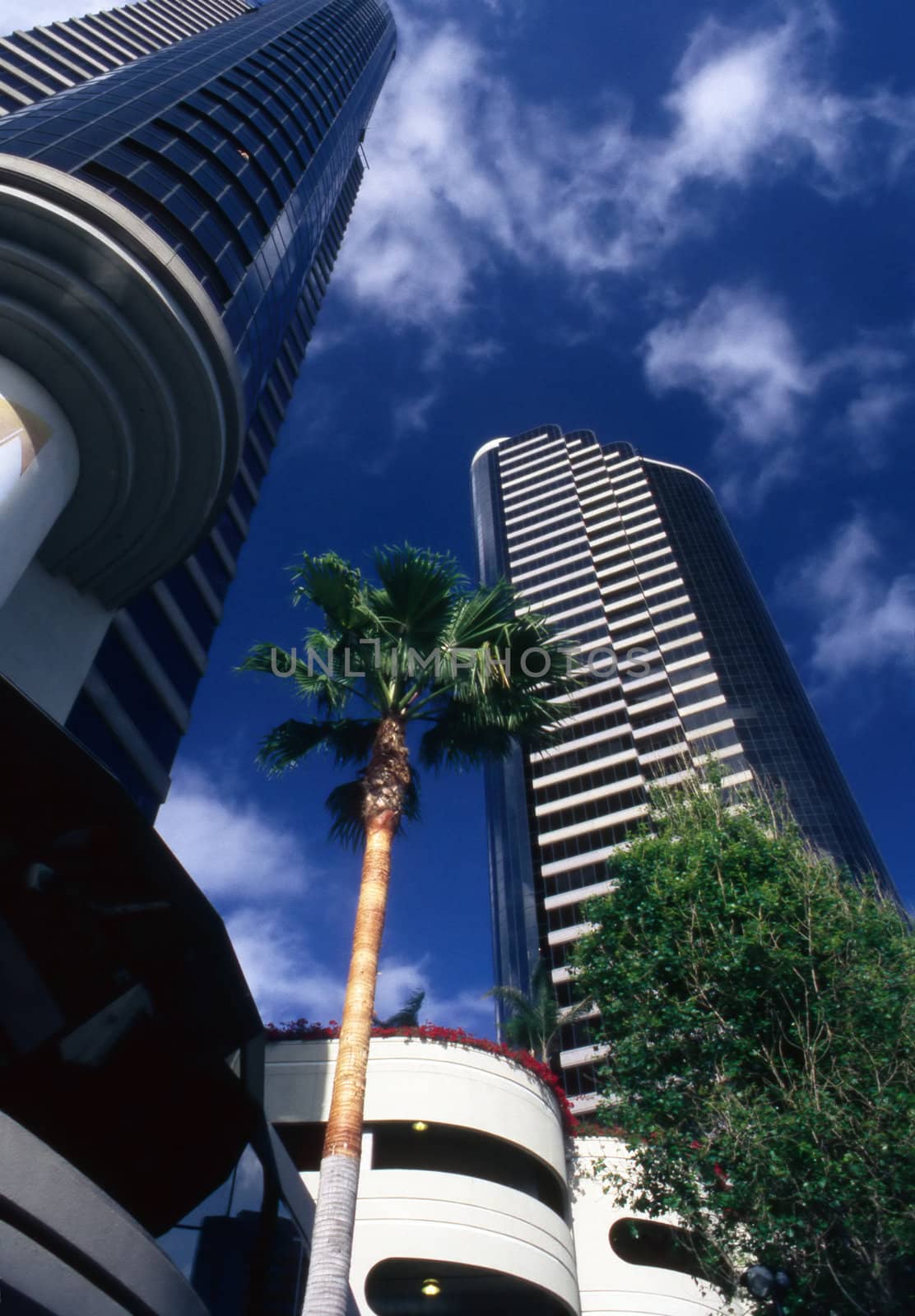 Condominium Tower  in San Diego, California