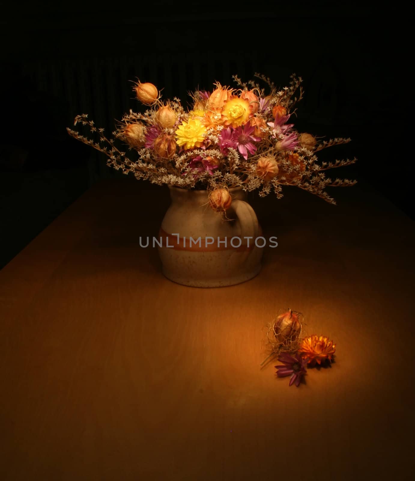 Bunch of everlasting flowers - dark still-life
