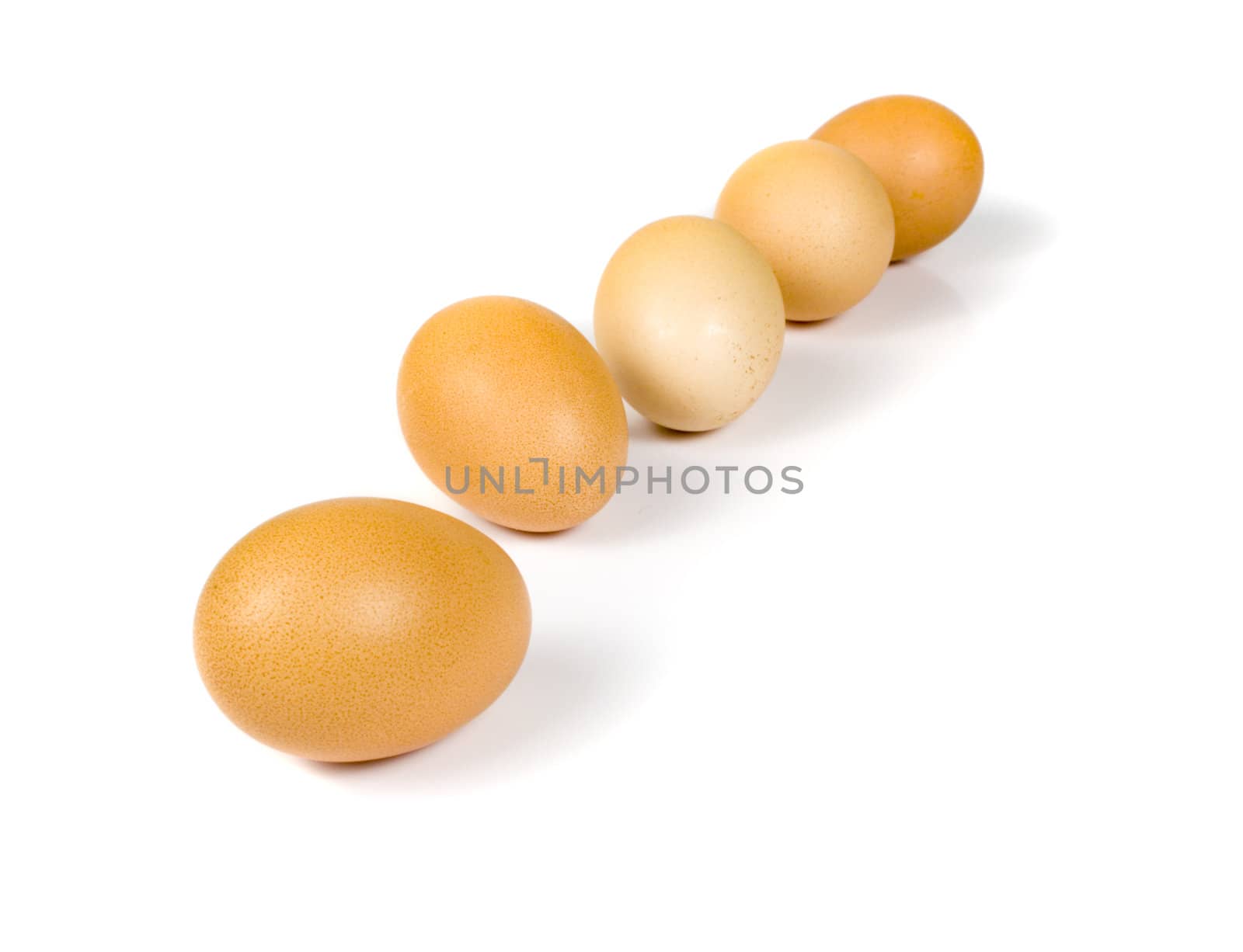 Eggs on white background by orson