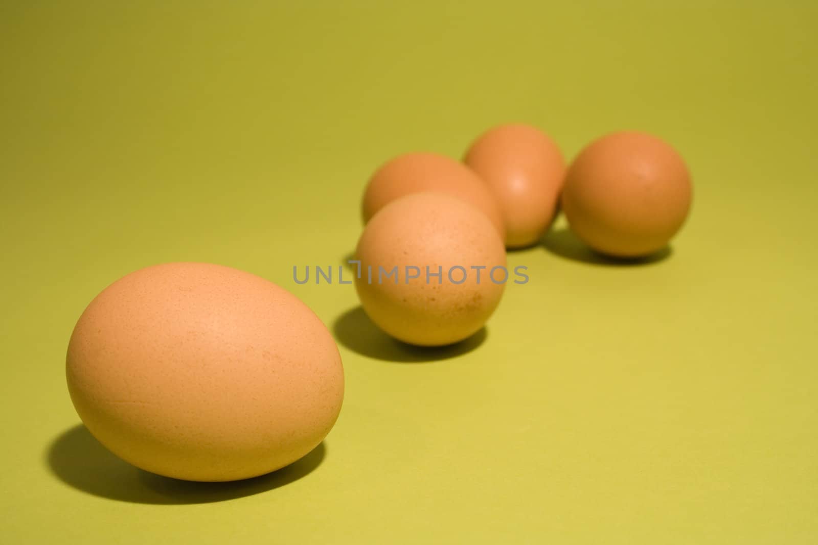 Brown eggs on fresh green background