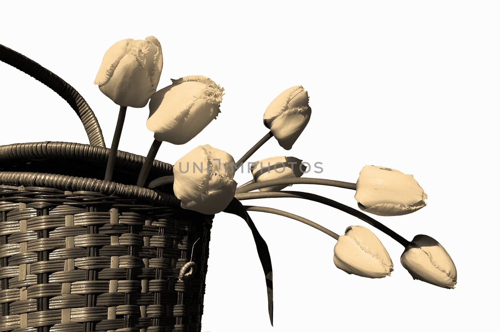 Basket with yellow tulips by OlgaDrozd