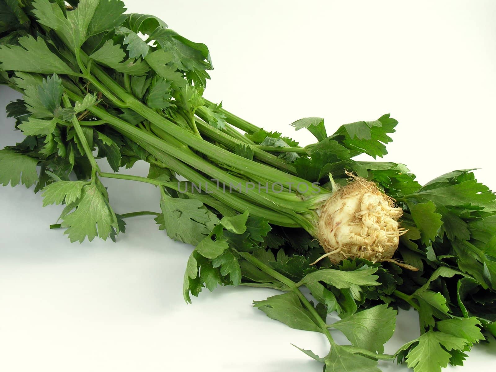 root celery by RAIMA