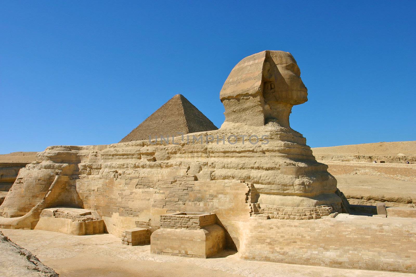 Sphinx in cairo - site of giza