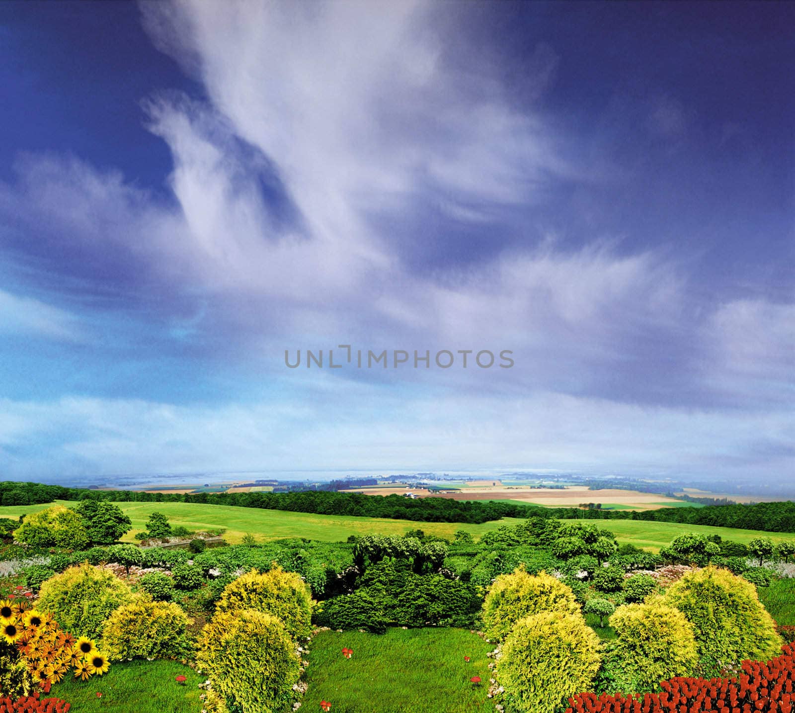 Illustrative garden and countryside view with blue sky, grass and flowers