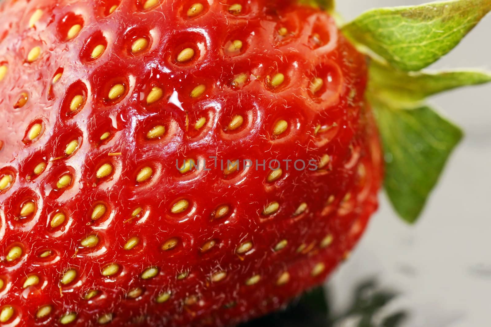 Bright red juicy ripe strawberry with water droplets macro: delicious and nutritious