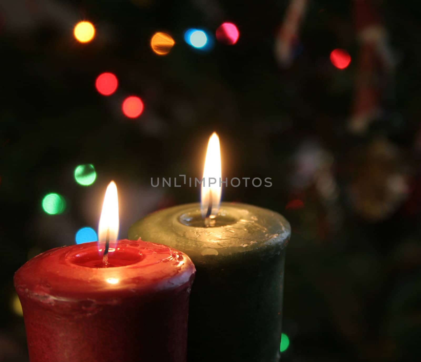 Christmas candles set against a tree.
