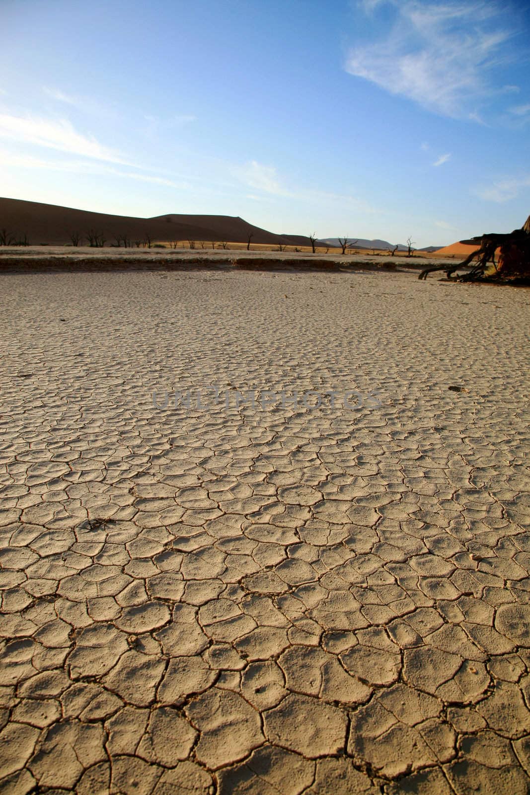 Close-up of pan without water in the Sossusvlei sand dunes in Namibia