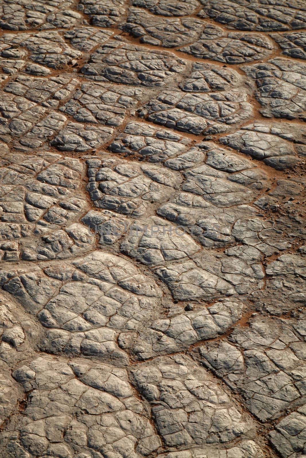 Close-up of pan without water in the Sossusvlei sand dunes in Namibia