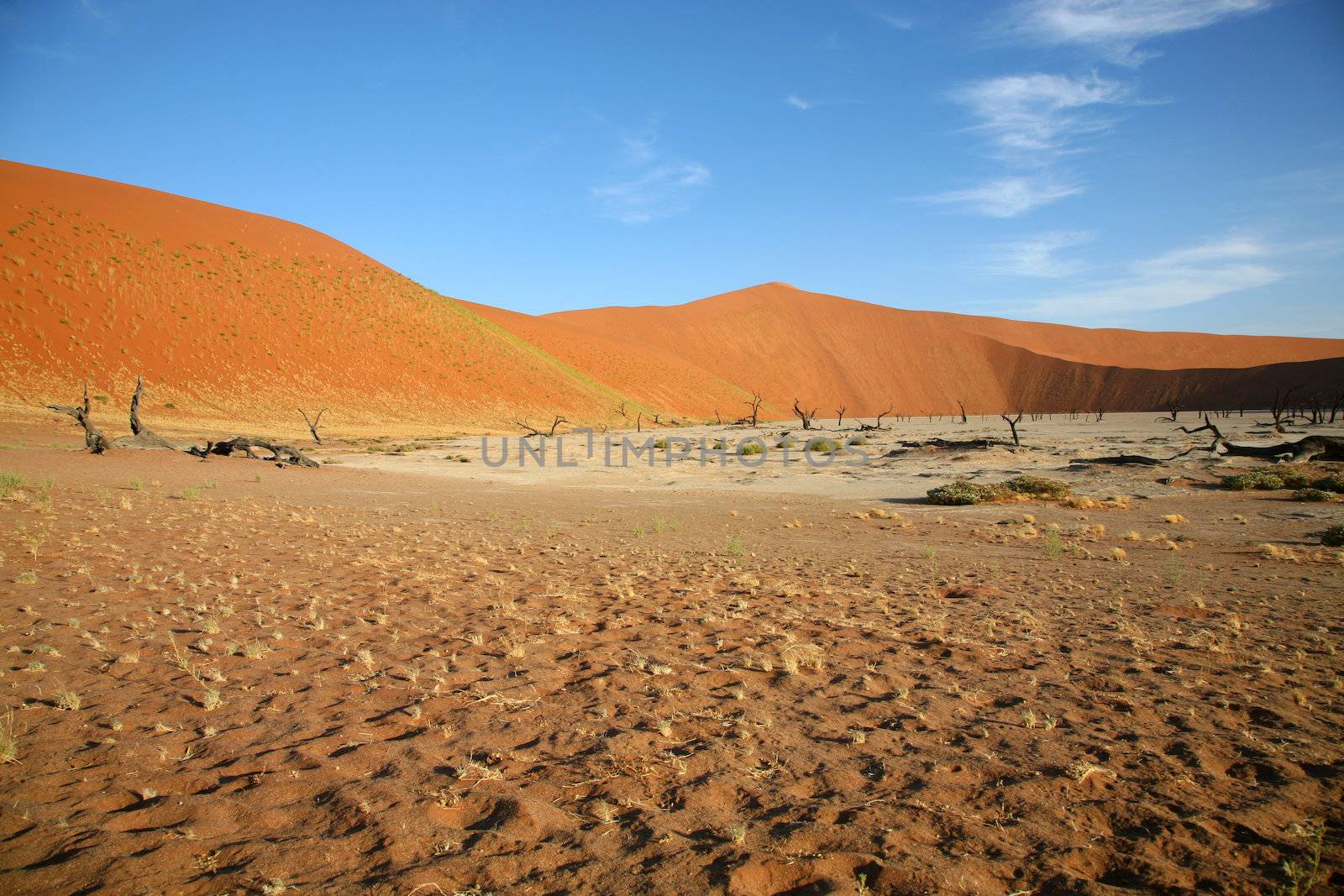 Dune sea of the Namib desert during a hot day wity blue sky
