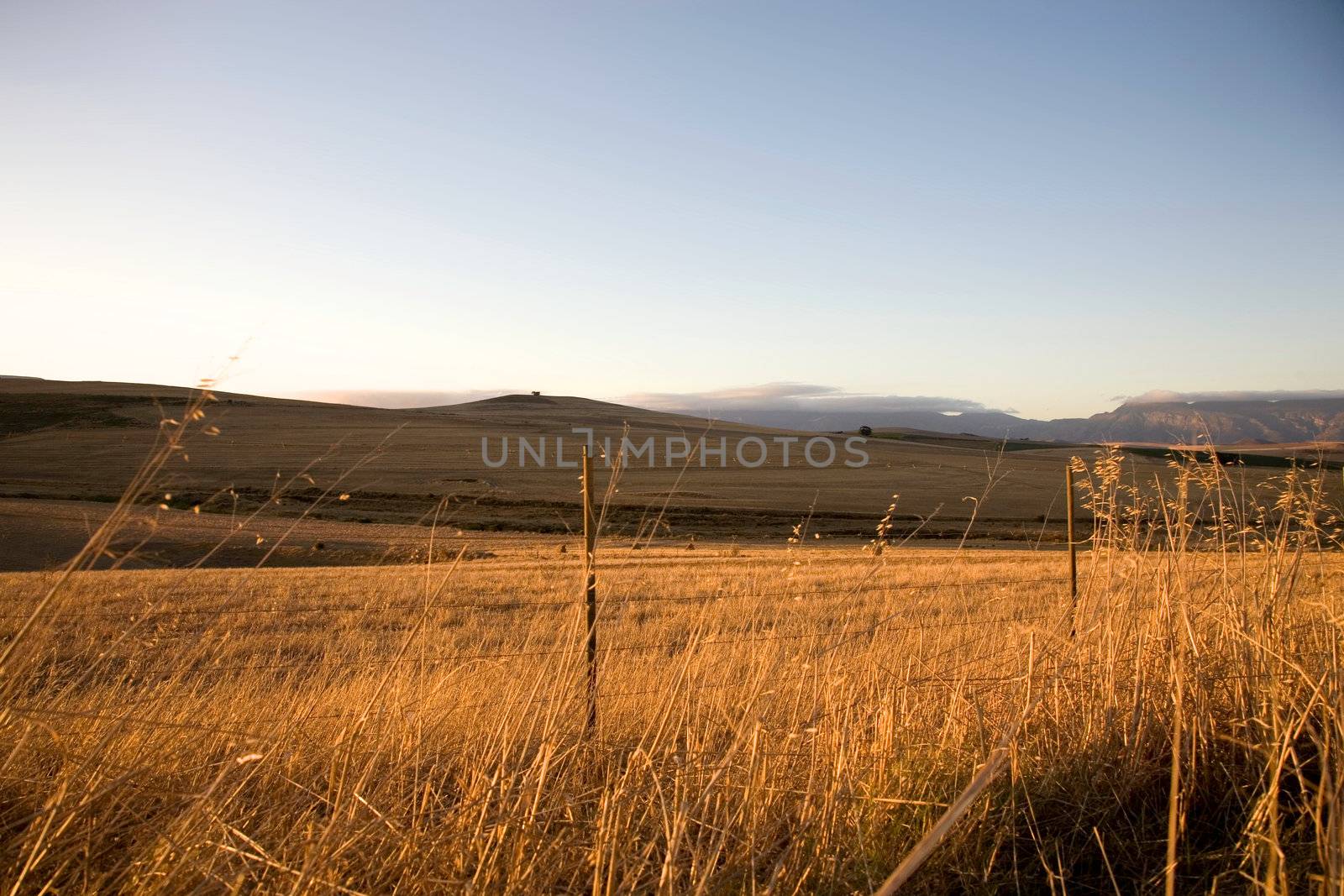 Fields and agriculture on the incredible Garden Road in South Africa