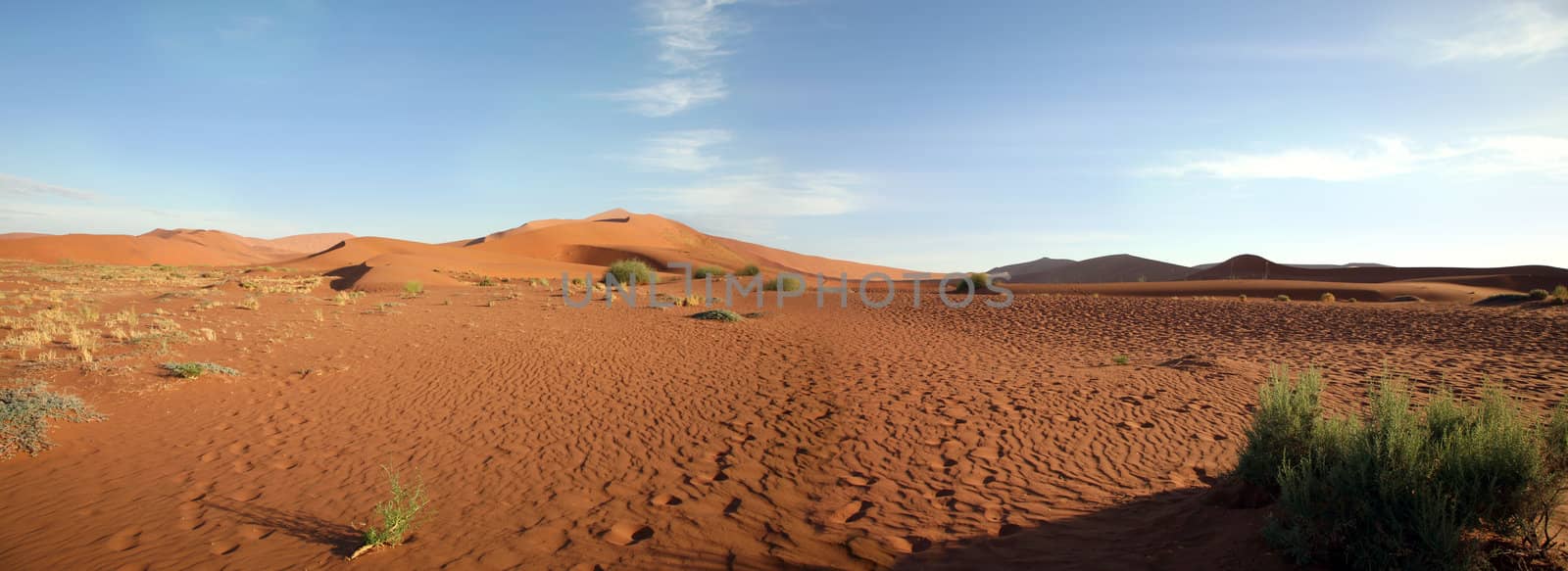 Panorama of the sand in Sossusvlei  - Nambia with a blue sky
