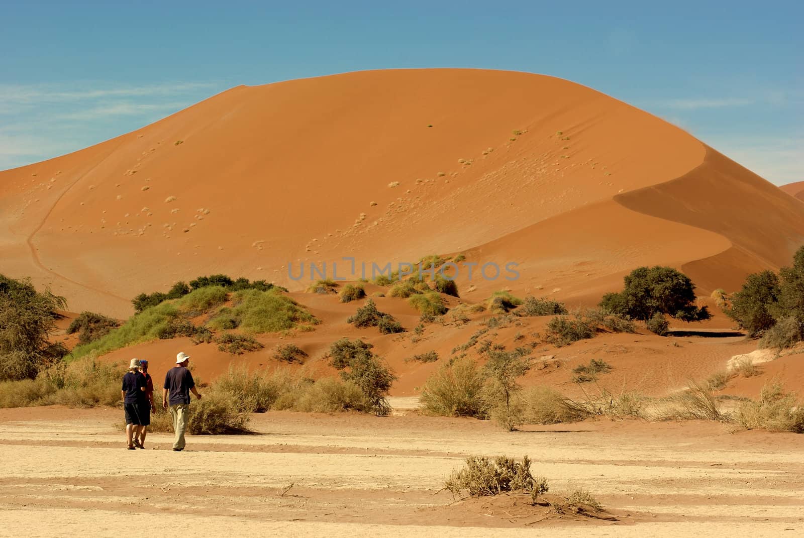 Desert of Sossusvlei in Namibia by watchtheworld