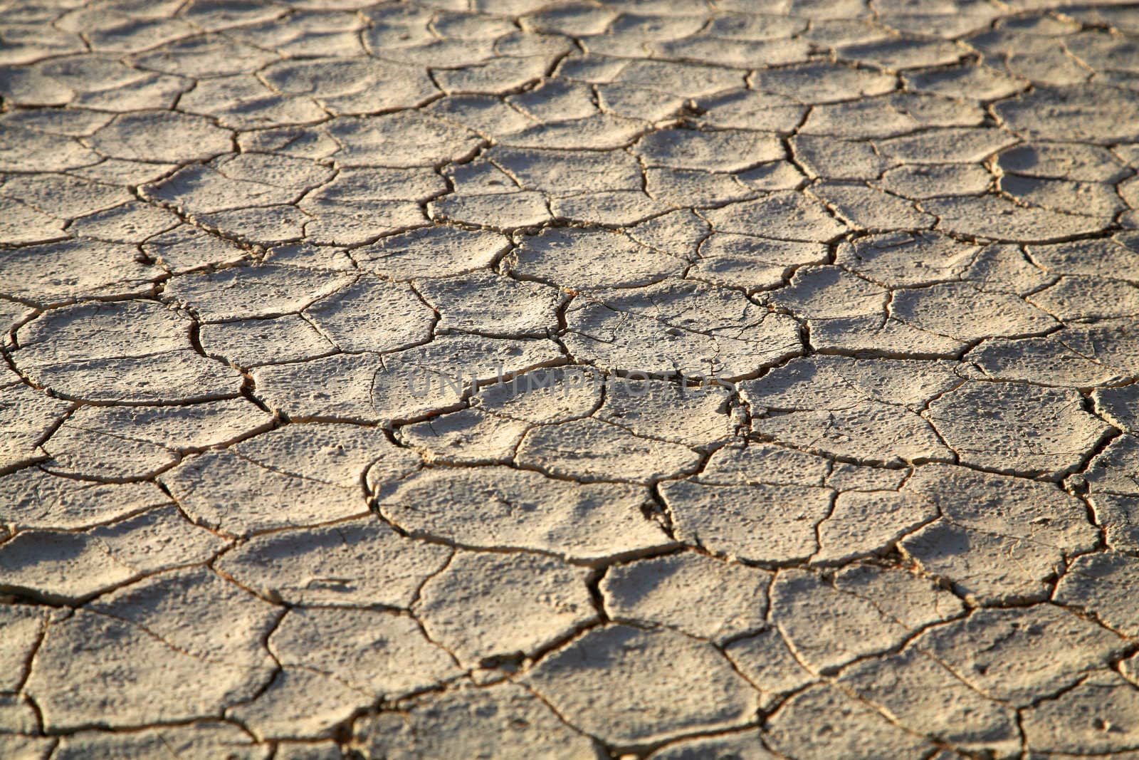 Close-up of pan without water in the Sossusvlei sand dunes in Namibia