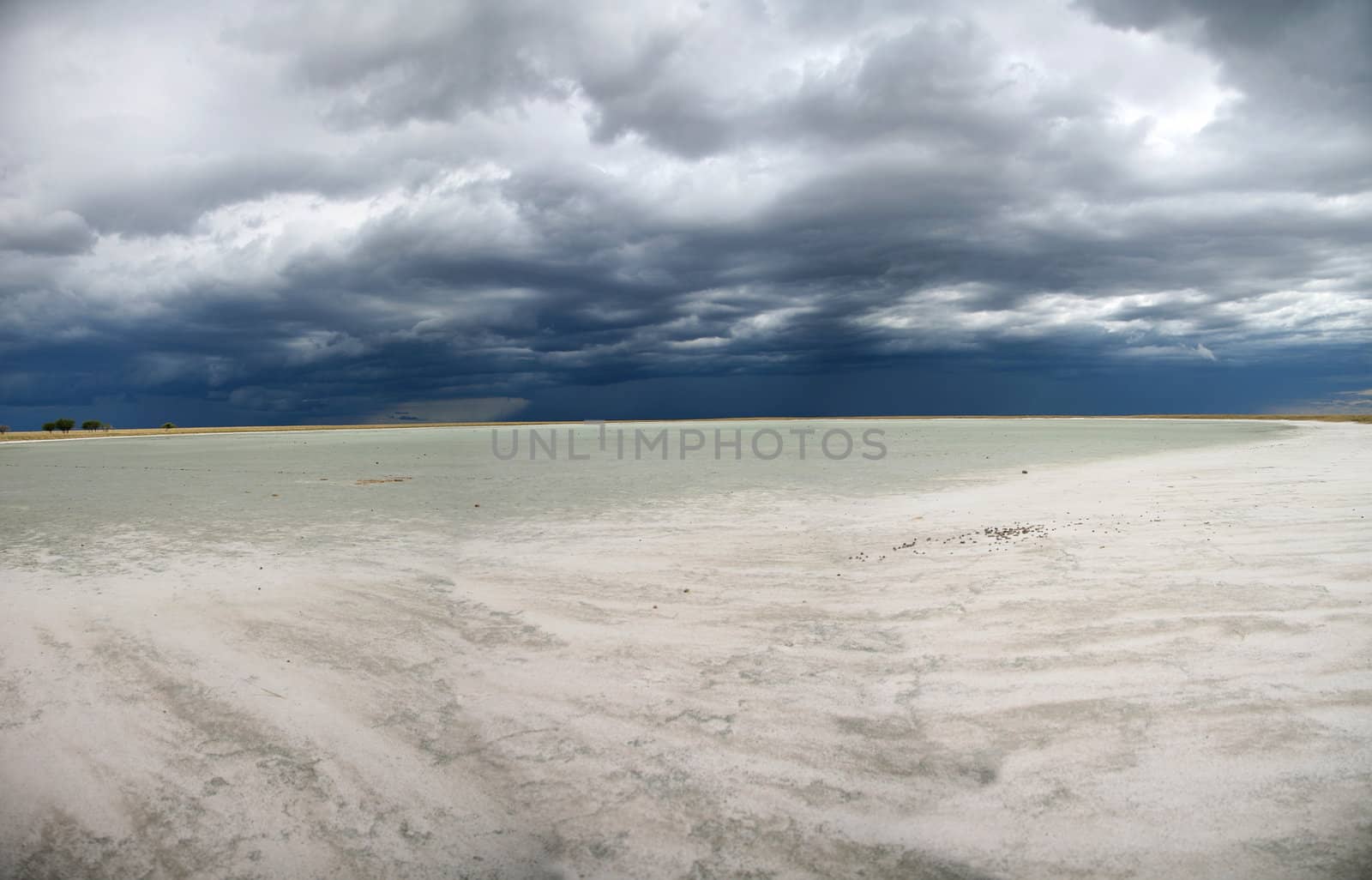 Etosha Park with heavy and rainy sky - National game reserve in Namibia 