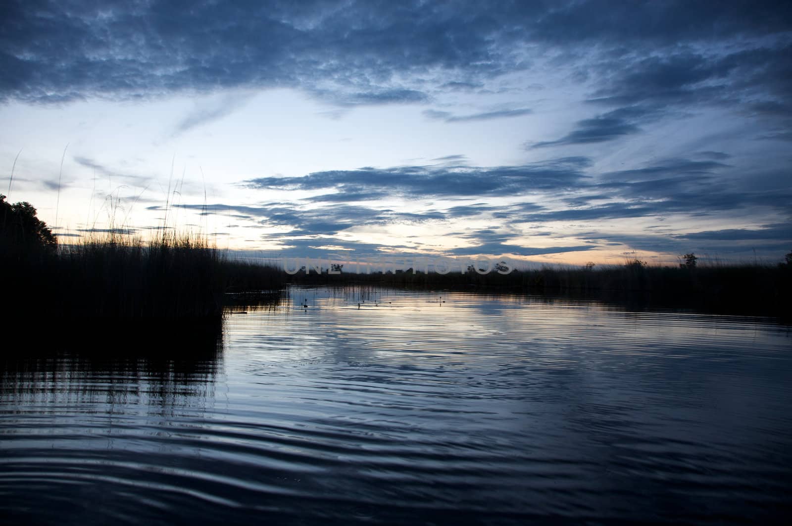 Okavango delta in botswana and sunset - Moremi Reserve