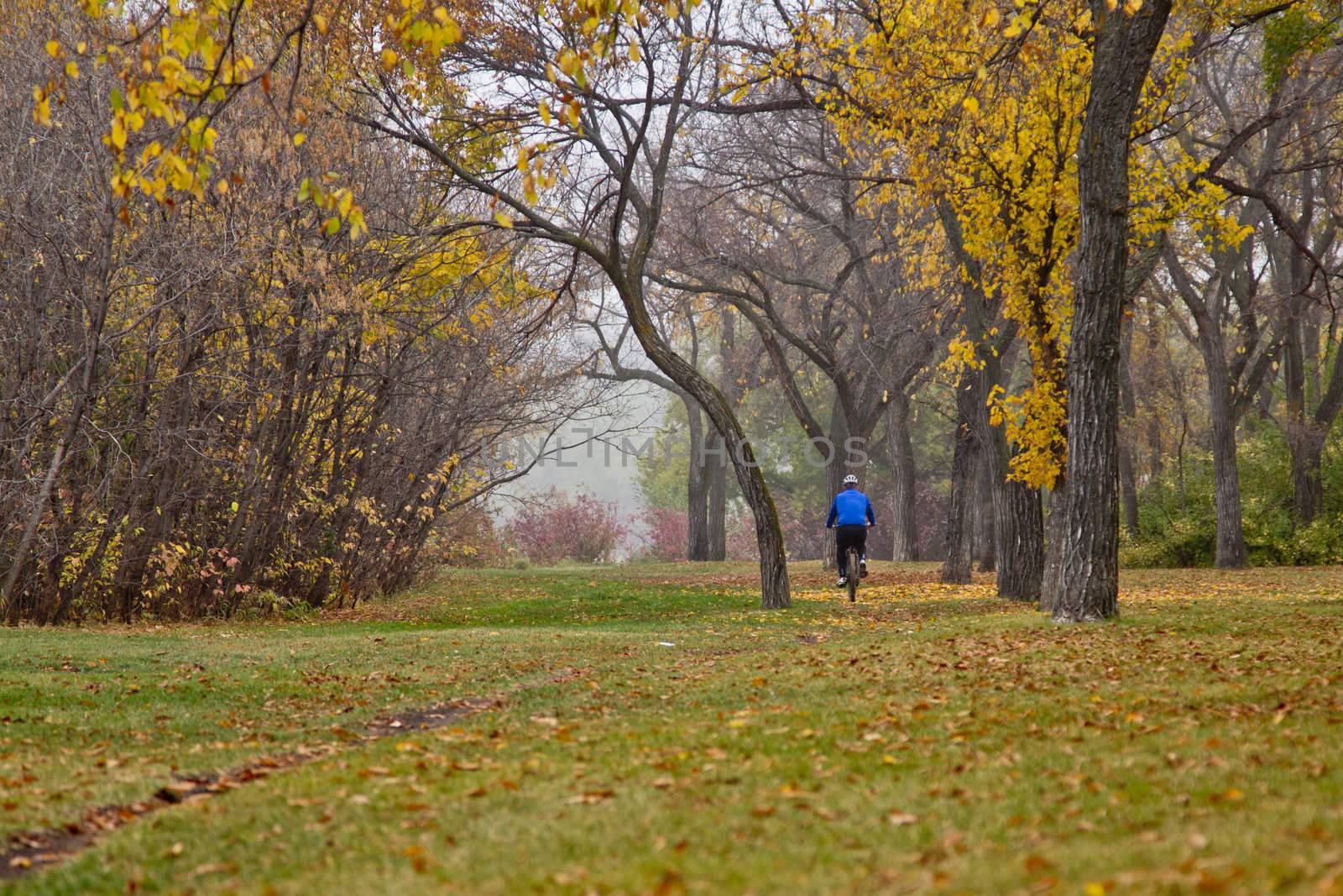 A person riding a bike in on a cold foggy day in a park in Autumn