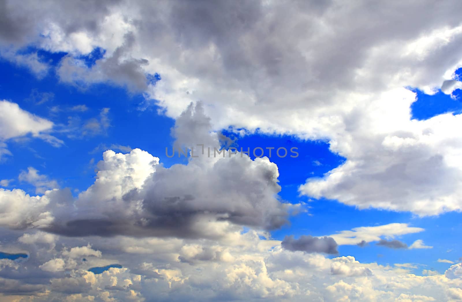 Beautiful picture with summer blue cloudiness sky