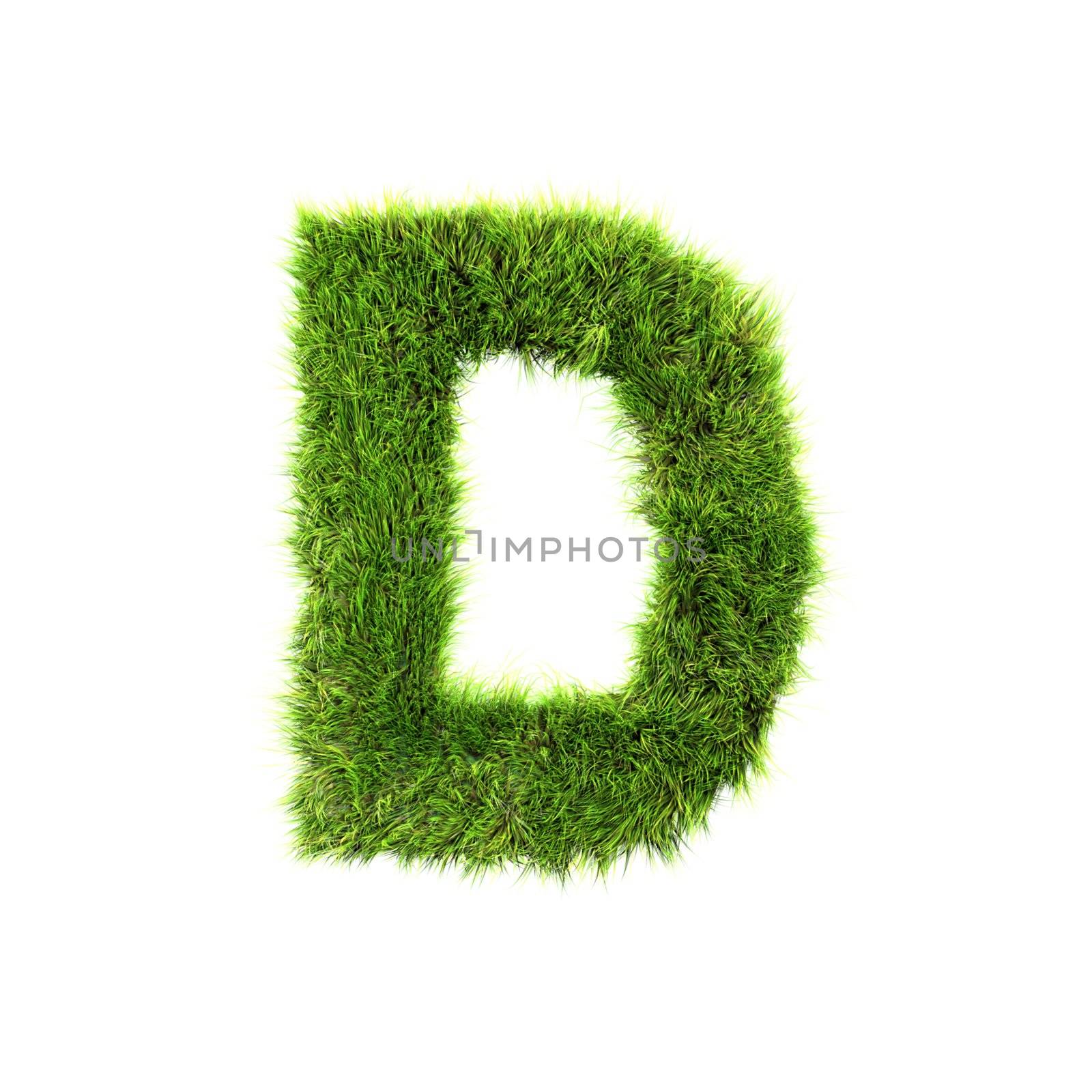 3d grass letter isolated on white background - D