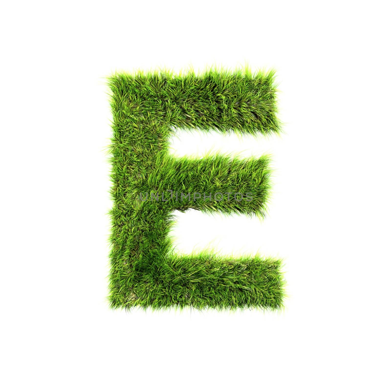 3d grass letter isolated on white background - E by chrisroll