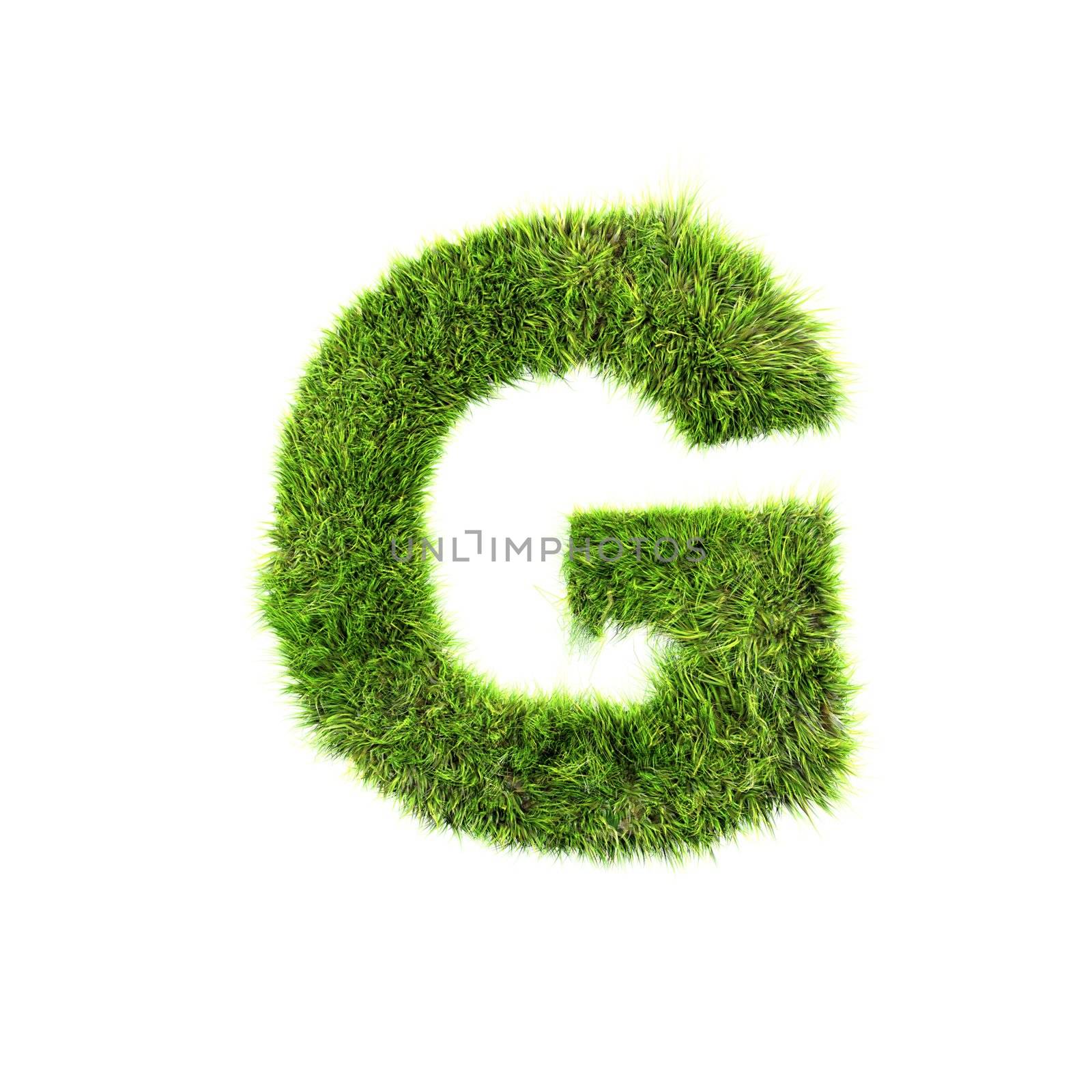 3d grass letter isolated on white background - G by chrisroll