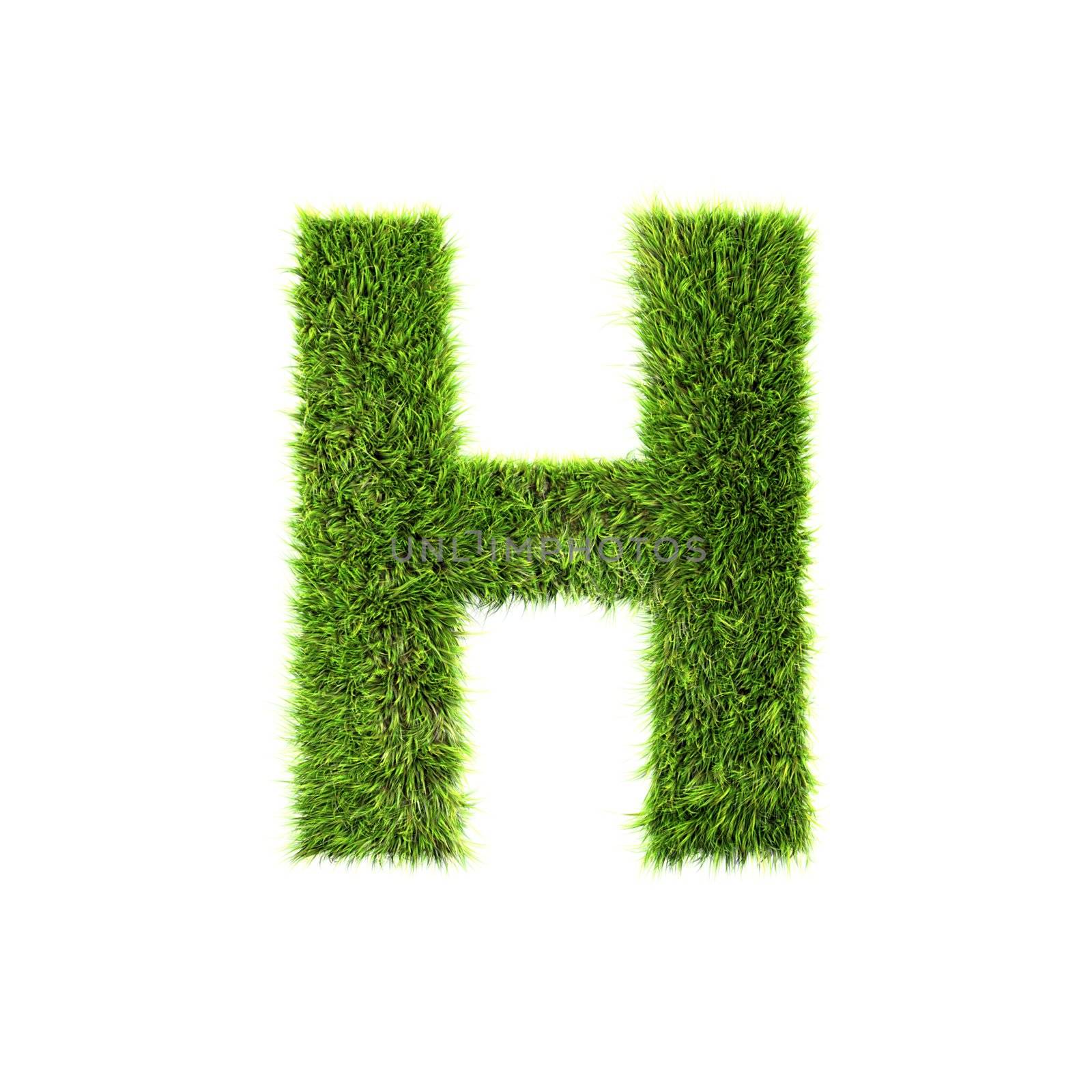 3d grass letter isolated on white background - H by chrisroll