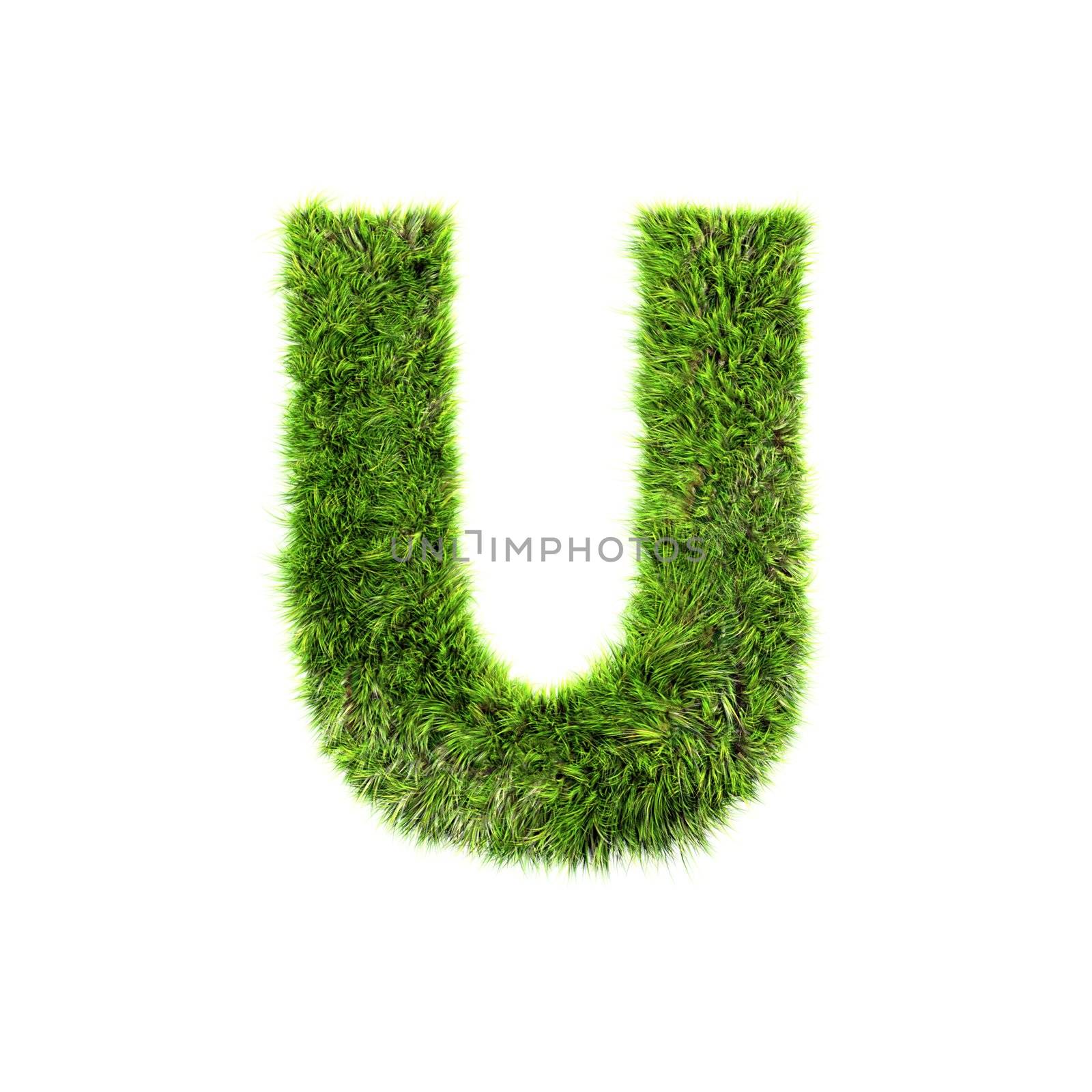 3d grass letter isolated on white background - U by chrisroll