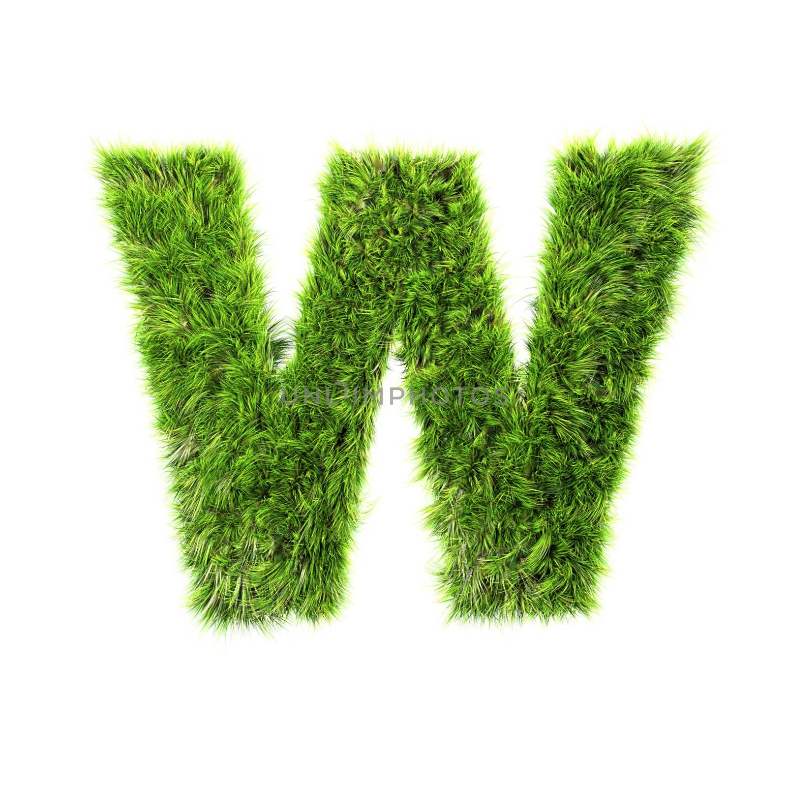 3d grass letter isolated on white background - W by chrisroll