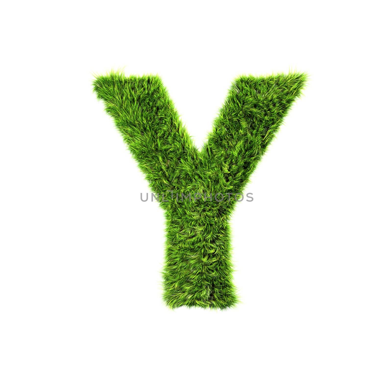 3d grass letter isolated on white background - Y by chrisroll