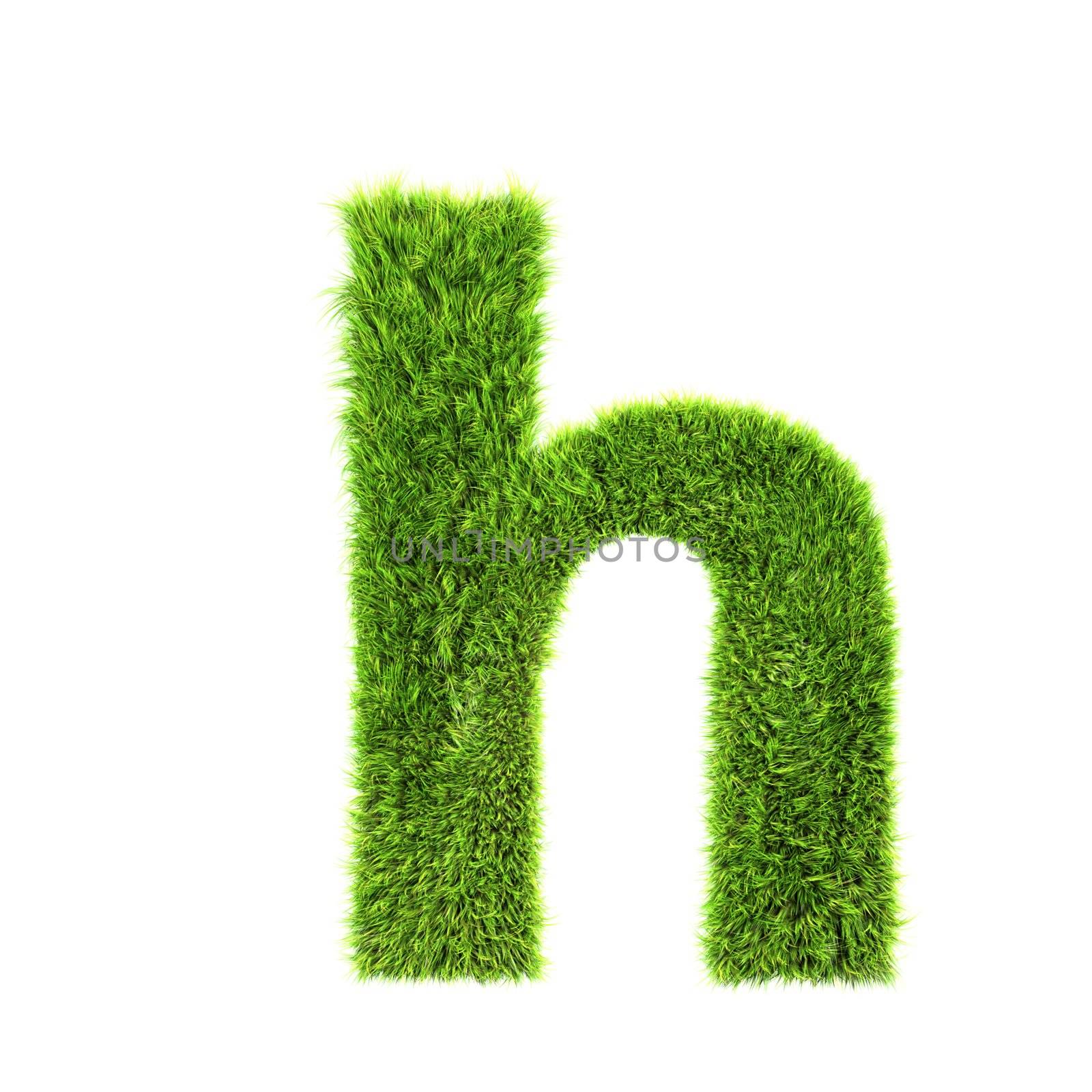 3d grass letter isolated on white background - h by chrisroll